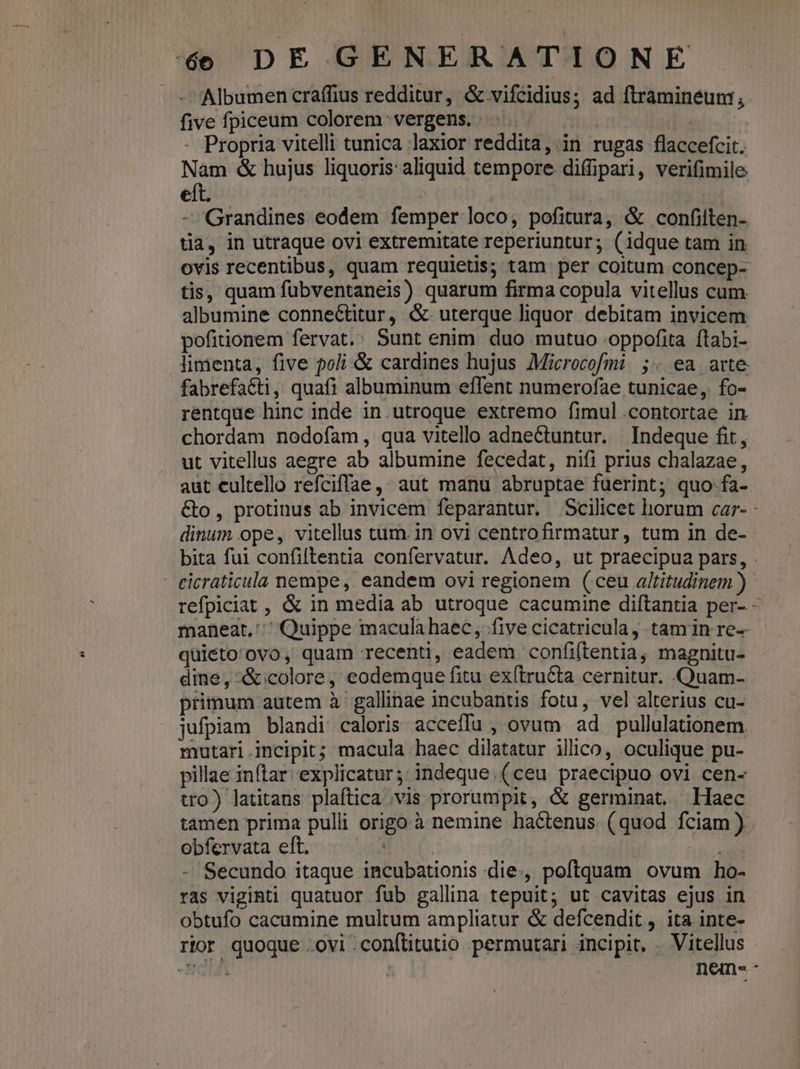 -Albumen craffius redditur, &amp; vifcidius; ad ftramineéunt, five fpiceum colorem vergens. . | | - Propria vitelli tunica laxior reddita, in rugas flaccefcit. s &amp; hujus liquoris: aliquid tempore. diffipari, verifimile elt. | Grandines eodem femper loco, pofitura, &amp; confilten- tia, in utraque ovi extremitate reperiuntur; (idque tam in. ovis recentibus, quam requietis; tam per coitum concep- tis, quam fubventaneis) quarum firma copula vitellus cum albumine connectitur, &amp; uterque liquor debitam invicem. pofitionem fervat. Sunt enim. duo mutuo .oppofita ftabi- limenta, five poli &amp; cardines hujus Microcofmi. ;. ea atte fabrefa&amp;ti, quafi albuminum effent numerofae tunicae, fo- rentque hinc inde in utroque extremo fimul .contortae in chordam nodofam, qua vitello adnectuntur. Indeque fit, ut vitellus aegre ab albumine fecedat, nifi prius chalazae, aut cultello refciffae, aut manu abruptae fuerint; quo-fa- &amp;o, protinus ab invicem feparantur. Scilicet horum car- - dinum ope, vitellus tum. in ovi centrofirmatur, tum in de- bita fui confiftentia confervatur. Adeo, ut praecipua pars, . - eicraticula nempe, eandem ovi regionem (ceu altitudinem ) refpiciat, &amp; in media ab utroque cacumine diftantia per- - maneat. Quippe macula haec, five cicatricula, tamin re-- quieto'ovo, quam recenti, eadem confiftentia, magnitu- dine, &amp;;colore, eodemque fitu exítructa cernitur. .Quam- primum autem à gallinae incubantis fotu, vel alterius cu- jufpiam blandi caloris acceflu , ovum ad pullulationem mutari.incipit; macula haec dilatatur ilico, oculique pu- pillae inftar explicatur;: indeque.(ceu praecipuo ovi cen- tro) latitans plaftica ;vis prorumpit, &amp; germinat. Haec tamen prima pulli origo à nemine hactenus (quod fciam) . obfervata eft. ' y - Secundo itaque incubationis die., poftquam ovum ho- ras viginti quatuor fub gallina tepuit; ut cavitas ejus in obtufo cacumine multum ampliatur &amp; defcendit , ita inte- rtor quoque ovi .conftitutio permutari incipit, . Vitellus «1 ! ; nemse.s:-