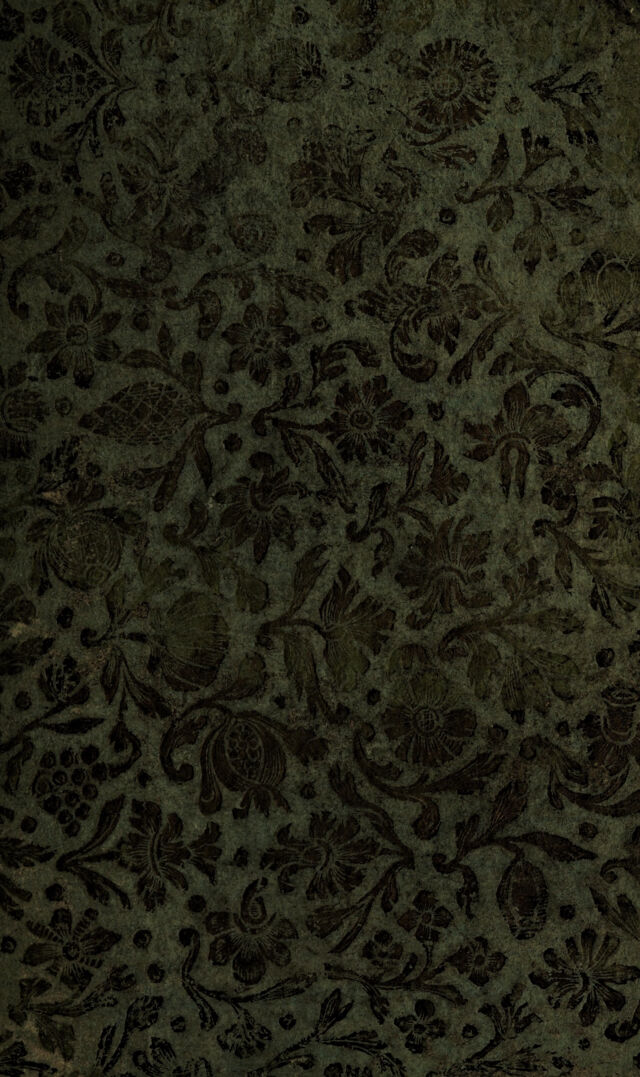 digitised image 1