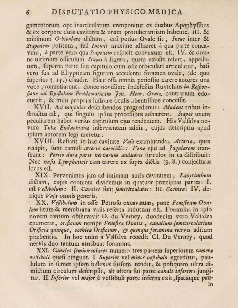 gamentorum ope inarticulatum componitur ex duabus ApophyGbus &amp; ex corpore duas cavitates &amp; unam protuberantiam habente, ill. &amp; minimum Orbiculare didlum , eifi potius Ovale iit, Ineus inter 6c Stapedem pohtum , fed Incudi maxime adh^ret a qua parte conca¬ vum , a parte vero qua Stapedem refpicit convexum eft. IV. 6c ordi¬ ne ultimum officulum Staoes a Bgur^ t quam exade refert, appella¬ tum, fuperna parte feu capitulo cum olle orbiculari articulatur, bali vero fua ad Ellypticam figuram accedente foramen ovale, (de quo luperius i p.) claudit. Ha:c ofia omnia periofiio carere autores una voce pronuntiarunt, donec novifiime Indefefius Ruylchius in Refpon- Jione ad Epijlolam Prohlemuticam Joh. Henr, Gratz. contrarium edo¬ cuerit , &amp;; mihi propriis lufirare oculis libentifiime conceffit. XVII. Ad mtijCfdlos dcfcribendos progredimur; Malleus tribus in- ftrudlus eft, qui fingulis ipfius proceflibus adhaerent. Stapes unum peculiarem habet verfus capitulum ejus tendentem. His Valfalva no¬ vum Tub^ EuHachtana inlervientem addit , cujus defcriptio apud ipfum autorem legi meretur. XVIII. Reliant in hac cavitate examinanda; j4rterUy qms recipit, funt ramuli arteria carotidis : Vena ejus ad fugularem tran- feunt : Portio dura paris nervorum auditorii furculos in ea dilfribuit: Nec vafis Lymphaticis eam carere ex fupra diftis. (§. 8.) conjecturas locus eft. XIX. Pervenimus jam ad intimam auris cavitatem , Labyrinthum di6tam, cujus contenta dividemus in quatuor prtecipuas parces: I. ti\ Vedtbulum: II. Canales {uht femicirculares: III, Cochlea: IV. de¬ nique Vafa omnis generis. XX. Veftibulum in olTe Petrofo excavatum, pone Fenefiram Ova* fitum 6c membrana vafis referta indutum cli. Foramina in ipfo novem tantum obfervavic D. du Verney, duodecim vero Valfalva enumerat, orificium nempe Fenejlra Ovalis , canalium femicircularium Orificia cjuinquey cochlea Orificium y cV c\uinque foramina nervis aditum praebentia. In hoc enim a Valfalva recedit Cl, Du Verney, quod nervis duo tantum attribuat foramina. XXL Canales femkir cui ares numero tres partem fuperiorem camera vefiibuli quafi cingunt. I. Superior vel minor veflibulo egreditur, pau¬ lulum in femct ipfum inflexus furfum tendit, &amp; poftquam ultra di¬ midium circulum defcripfit, ab altera fui parte canali inferiori jungi¬ tur. IhInferior n^ajor e veftibuli parte inferna exit,rpatioque pau-