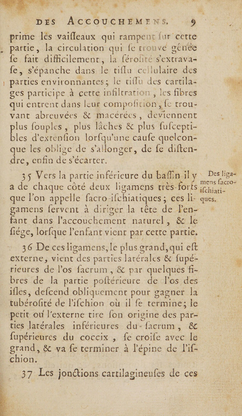 DES ACCOUCHEMFA CARE | prime lés vaifleaux qui rampent fur’cette partie, la circulation qui fe trouvé gênée fe, fait difficilement, la férofité sextrava- fe, s'épanche dans le ciffu cellulaire des parties environnantes ; le fu Re cartilas A ges participe à cette infilrration , les fibres * qui entrent dans leur compol fiction, {e trou- vant abreuvées &amp; macérées, M enbenc plus fouples, plus flèches &amp; plus fufcepti- bles d’ ekténfion lorfqu'une caufe quelcon- que les oblige de Son En. de fe diften- dre, cofin de Pier 35 Vers la partie inférieure du bafn il y Ra a de chaque côté deux ligamens rrès-foris pe 2 que l’on appelle facro- ifchiatiques ; ces li- ques, gamens fervent à diriger la tère de Fen- fant dans l'accouchement naturel, &amp; le fiéce, lorfque l'enfant vient par AE partie. 36 De ces ligamens, le plus grand, qui eft externe, vient He parties Jarérales &amp; fupé- rieures de l'os facrum , &amp; par quelques ÎE- bres de la partie potérieure de l'os des ifles, defcend obliquemenct pour gagner la bécñte de lifchion où il fe termine; le petit ou l'externe tire fon origine des par-. ties Jarérales inférieures du-facrum, &amp; fupérieures du coccix , fe croife avec le grand, &amp; va fe terminer à lPépine de lif- chion. | 37 Les jonétions cartilagineufes de ces