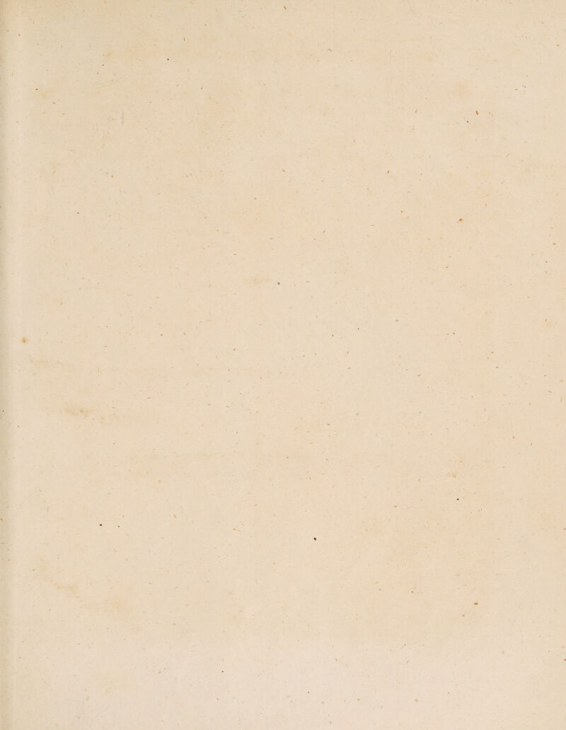 \ t l - 4 - ■> / \ . \ f t ( I V, I, /