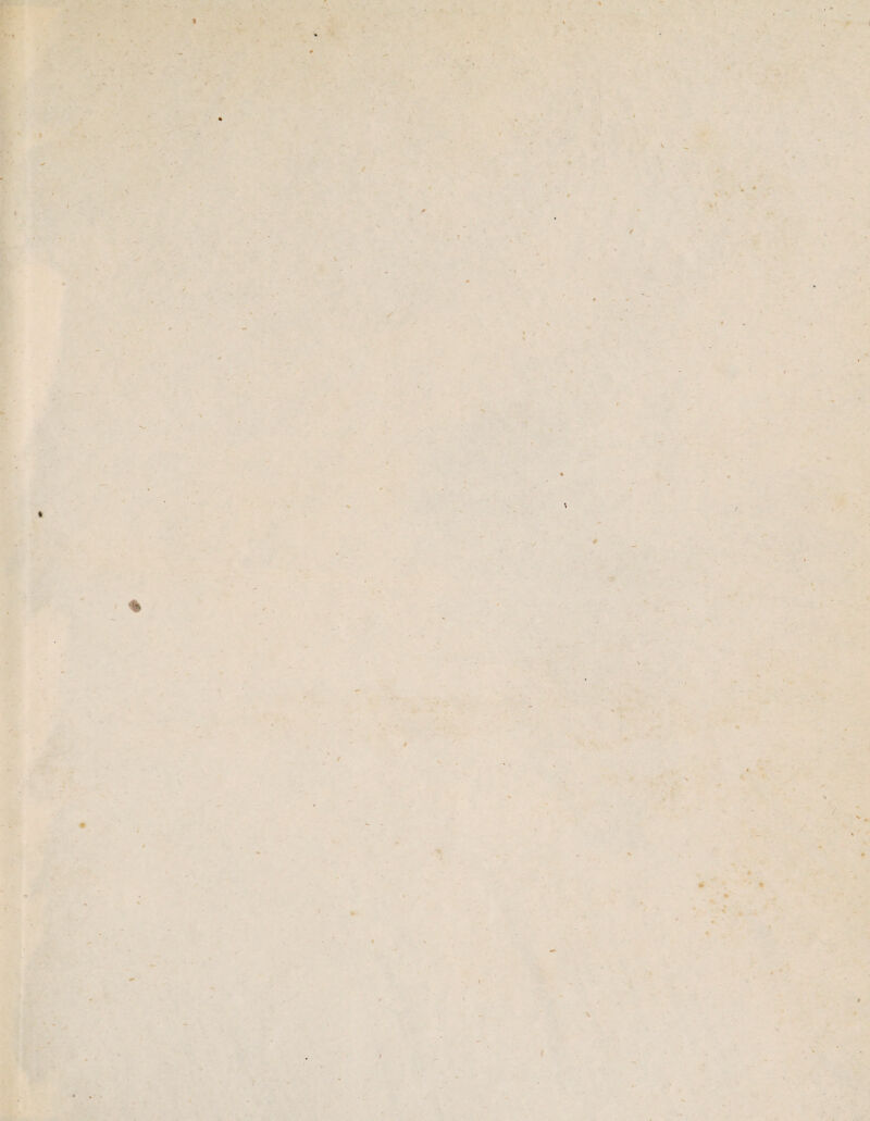 •> ■< % * * N ' % % / J'