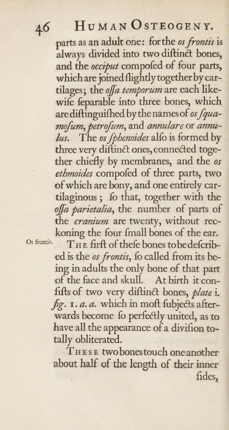 parts as an adult one: for the os frontis is always divided into two diftindt bones, and the occiput compofed of four parts, which are joined flightly together by car¬ tilages; the ojja temporum are each like- wife feparable into three bones, which arediftinguilhed by the names of osfqua- mofum^ petrofum., and annulare or annu¬ lus. The os fphenoides allb is formed by three very diftinci ones, connected toge¬ ther chiefly by membranes, and the os ethmoides compofed of three parts, two of which are bony, and one entirely car¬ tilaginous ; fo that, together with the ojfa parietalia, the number of parts of the cranium are twenty, without rec¬ koning the four fmall bones of the ear. frontis. TH E firfl: of thefe bones tobedefcrib- ed is the os frontis, lo called from its be¬ ing in adults the only bone of that part of the face and skull. At birth it con- lifts of two very diftimft bones, plate i. jig. i. a. a. which in moil fubje&s after¬ wards become fo perfectly united, as to have all the appearance of a divifton to¬ tally obliterated. Th ese two bones touch one another about half of the length of their inner lides.