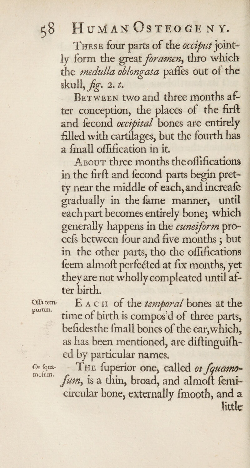 Gfta tem- p or urn. Os {qua- mofum. These four parts of the occiput joint¬ ly form the great foramen, thro which the medulla oblongata pafies out of the skull, fig. 2. t. Between two and three months af¬ ter conception, the places of the firft and fecond occipital bones are entirely filled with cartilages, but the fourth has a fmall ofiification in it. About three months theofiifications in the firft and fecond parts begin pret¬ ty near the middle of each, and increafe gradually in the fame manner, until each part becomes entirely bone; which generally happens in the cuneiform pro- cefs between four and five months; but in the other parts, tho the ofiifications feem almoft perfe&ed at fix months, yet they are not wholly compleated until af¬ ter birth. Each of the temporal bones at the time of birth is compos’d of three parts, befidesthe fmall bones of the ear, which, as has been mentioned, are diftinguifh- ed by particular names. The fuperior one, called os fiquamo- fum, is a thin, broad, and almoft femi- circular bone, externally ftnooth, and a little