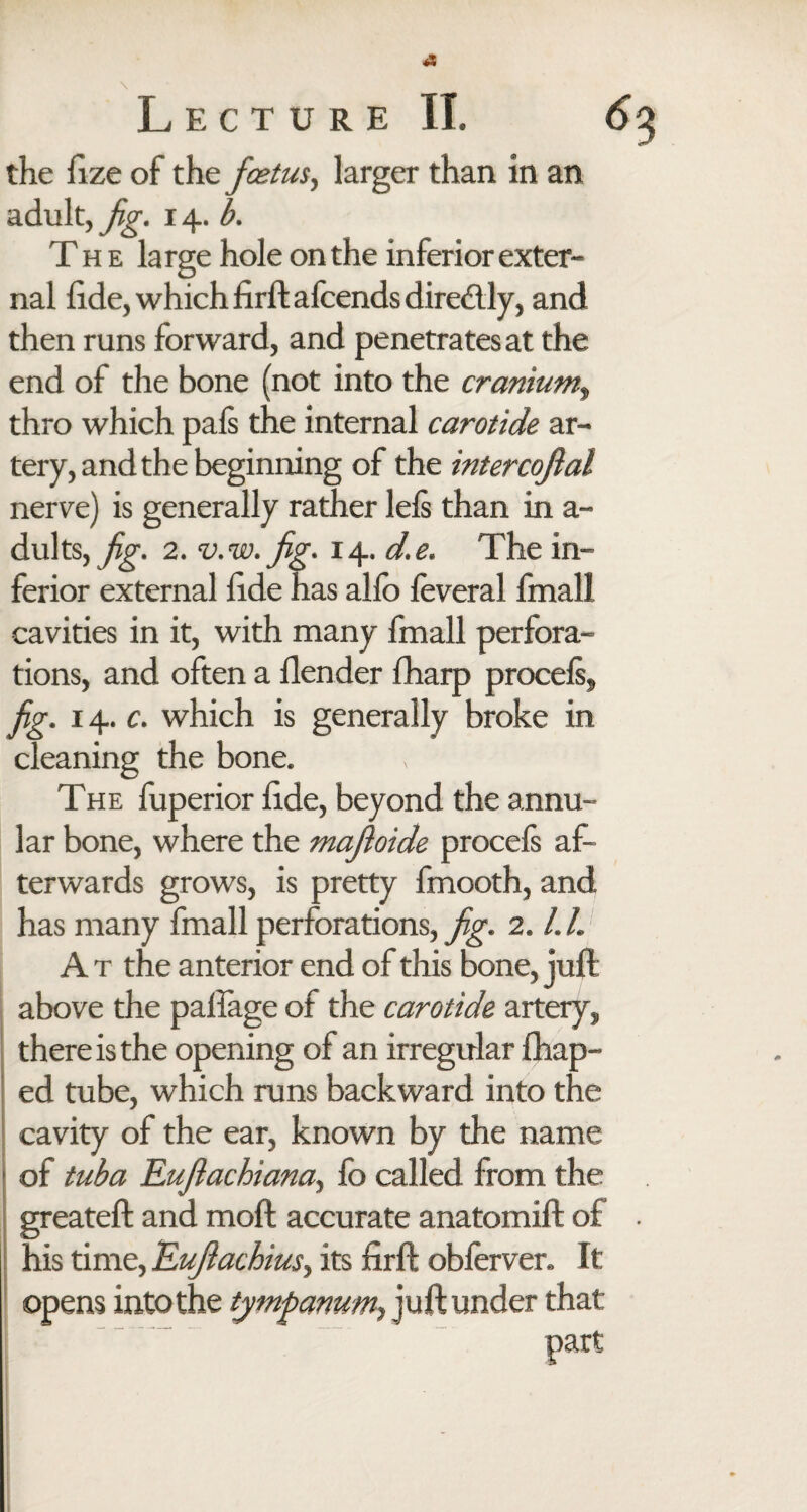 the fize of the foetus, larger than in an adult, fig. 14. b. The large hole on the inferior exter¬ nal fide, which firft alcends diredlly, and then runs forward, and penetrates at the end of the bone (not into the cranium, thro which pals the internal carotide ar¬ tery, and the beginning of the intercofial nerve) is generally rather lels than in a- dults, fig. 2. v.w.fg. 14. d.e. The in¬ ferior external fide has alio feveral fmall cavities in it, with many fmall perfora¬ tions, and often a {lender fharp procels, fg. 14. c. which is generally broke in cleaning the bone. The fuperior fide, beyond the annu¬ lar bone, where the mafoide procels af¬ terwards grows, is pretty fmooth, and has many fmall perforations, fig. 2.1.1. A t the anterior end of this bone, juft above the pafiage of the carotide artery, there is the opening of an irregular fhap- ed tube, which runs backward into the cavity of the ear, known by the name • of tuba Eujlachiana, fo called from the greateft and mod accurate anatomift of his time, Eufilachius, its firft obferver. It opens into the tympanum, juft under that part