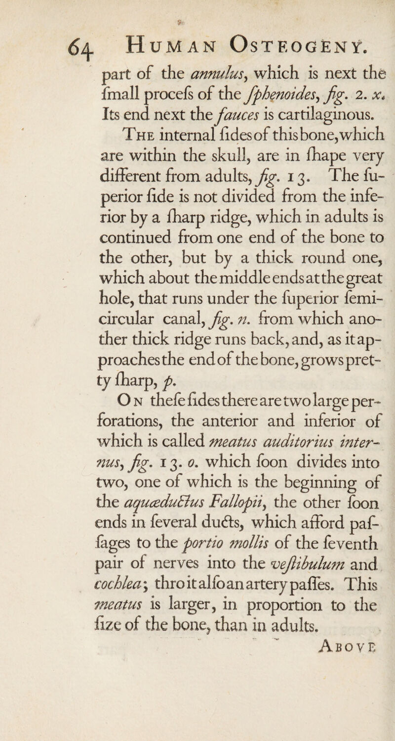 part of the annulus, which is next the fmall procefs of the fphenoides, fig. 2. x. Its end next the fauces is cartilaginous. The internal fidesof this bone, which are within the skull, are in ihape very different from adults, fig. 13. The fu- perior fide is not divided from the infe¬ rior by a fharp ridge, which in adults is continued from one end of the bone to the other, but by a thick round one, which about the middle ends at the great hole, that runs under the fuperior femi- circular canal, fig. n. from which ano¬ ther thick ridge runs back, and, as it ap¬ proaches the end of the bone, grows pret¬ ty fharp, p. O n thefe tides there are two large per¬ forations, the anterior and inferior of which is called meatus auditorius inter- 5msy fig. 13. 0. which foon divides into two, one of which is the beginning of the aquceduElus Fallopiiy the other foon ends in feveral dudts, which afford paf- fages to the portio mollis of the feventh pair of nerves into the vejlibulum and cochlea; thro it alfoan artery paffes. This meatus is larger, in proportion to the fize of the bone, than in adults. Above