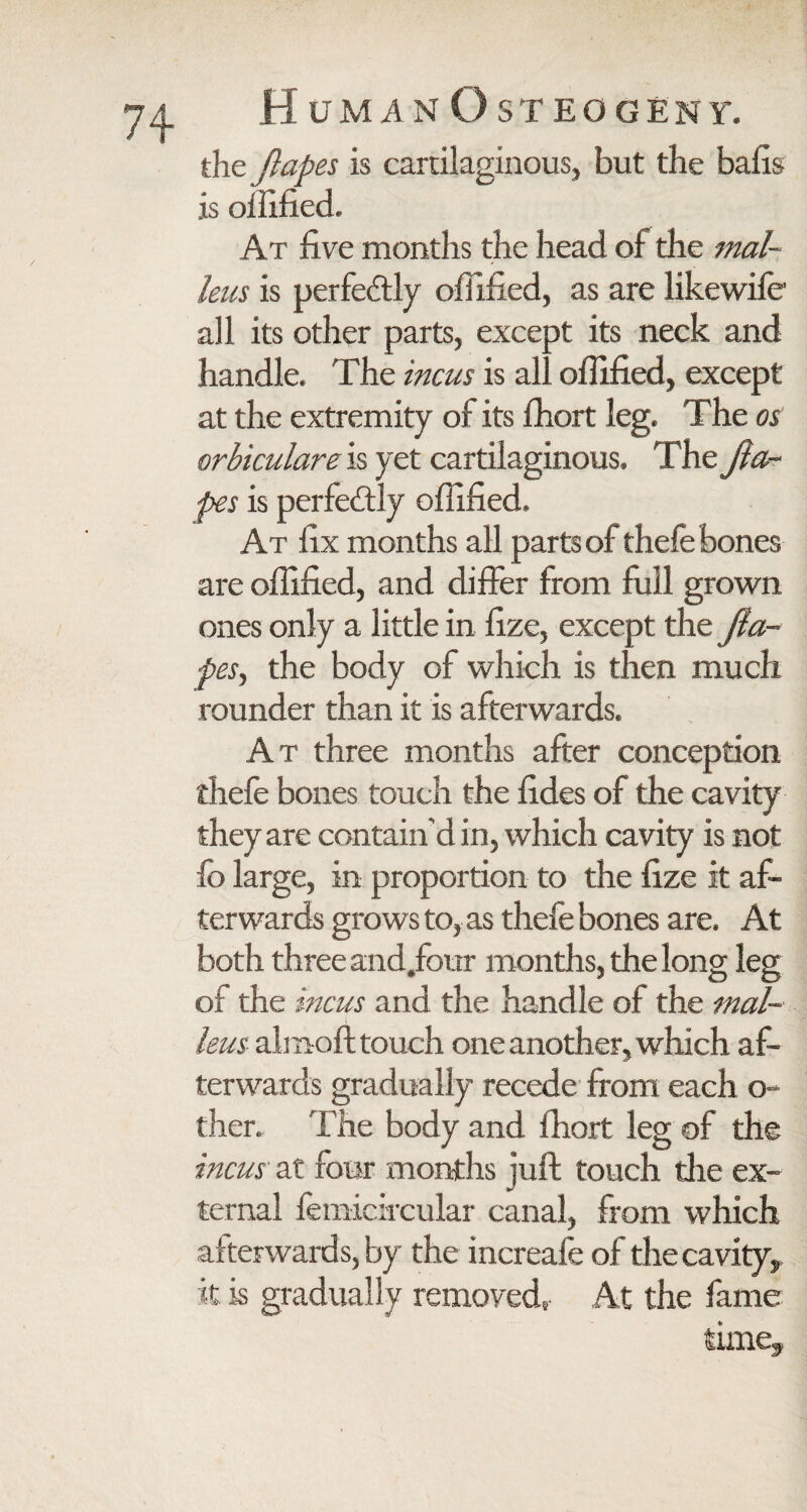 the Jlapes is cartilaginous, but the balls is olfified. At five months the head of the mal¬ leus is perfectly olfified, as are likewife all its other parts, except its neck and handle. The incus is all olfified, except at the extremity of its Ihort leg. The os orbiculare is yet cartilaginous. The Jla¬ pes is perfectly olfified. At fix months all parts of thefe bones are olfified, and differ from full grown ones only a little in fize, except the Jla¬ pes , the body of which is then much rounder than it is afterwards. At three months after conception thefe bones touch the fides of the cavity they are contain’d in, which cavity is not fo large, in proportion to the fize it af¬ ter wards grows to, as thefe bones are. At bot h three and.four months, the long leg of the incus and the handle of the mal¬ leus almoft touch one another, which af¬ terwards gradually recede from each o- ther. The body and Ihort leg of the incus at four months juft touch the ex¬ ternal lemicircular canal, from which afterwards, by the increafe of the cavity, it is gradually removede At the fame time.