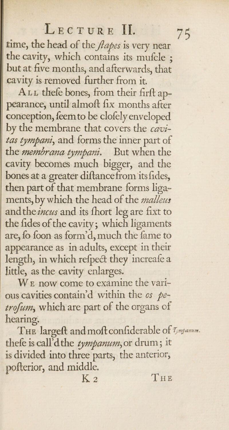 time, the head of the ft apes is very near the cavity, which contains its mufcle ; but at five months, and afterwards, that cavity is removed further from it. All thefe bones, from their firft ap¬ pearance, until almoft fix months after conception, feem to be clofely enveloped by the membrane that covers the cavi- tas tympanic and forms the inner part of the membrana tympani. But when the cavity becomes much bigger, and the bones at a greater diftancefrom itsfides, then part of that membrane forms liga¬ ments, by which the head of the malleus and the incus and its fhort leg are fixt to the fides of the cavity; which ligaments are, fb fbon as form’d, much the fame to appearance as in adults, except in their length, in which refpect they increafe a little, as the cavity enlarges. We now come to examine the vari¬ ous cavities contain’d within the os pe- troftum, which are part of the organs of hearing. The largeft and mofi:confiderable o£ Tympanum. thefe is call’d the tympanum, or drum; it is divided into three parts, the anterior, pofterior, and middle.
