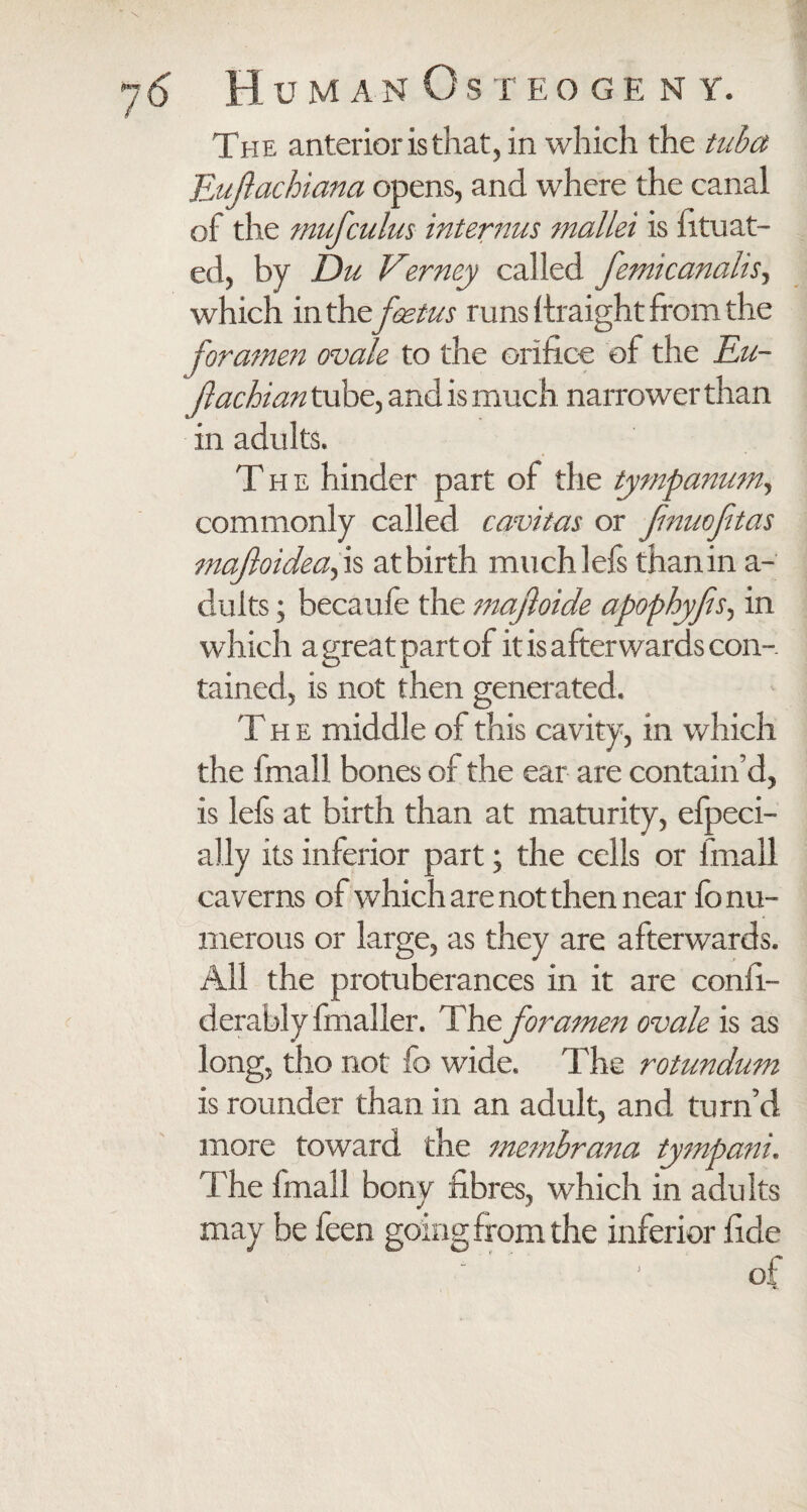 The anterior is that, in which the tuba TLuftachiana opens, and where the canal of the mufcuius interims mallei is fituat- ed, by Du Verney called fomicanalis, which in the foetus runs Ifraight from the foramen ovale to the orifice of the Eu~ flachian tube, and is much narrower than in adults. T he hinder part of the tympanum, commonly called cavitas or Jinuofotas majloidea, is at birth much 1 els than in a- dults; becaufe the majloide apophyfis, in which a great part of it is afterwards con¬ tained, is not then generated. The middle of this cavity, in which the fmall bones of the ear are contain’d, is lefs at birth than at maturity, efpeci- ally its inferior part; the cells or fmall caverns of which are not then near fo nu¬ merous or large, as they are afterwards. All the protuberances in it are confi- derably fmaller. The foramen ovale is as long, tho not fo wide. The rotundum is rounder than in an adult, and turn’d more toward the membrana tympani. The {mail bonv fibres, which in adults J * may be feen going from the inferior fide
