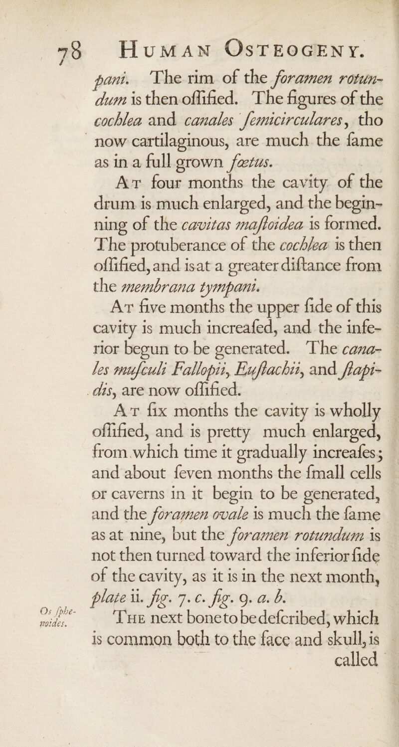 \ Os fphe- noides. H uman Osteogeny. pant. The rim of the foramen rotun- dum is then offified. The figures of the cochlea and canales femicirculares, tho now cartilaginous, are much the fame as in a full grown foetus. At four months the cavity of the drum is much enlarged, and the begin¬ ning of the cavitas mafloidea is formed. The protuberance of the cochlea is then offified, and is at a greater diftance from the membrana tympani. At five months the upper fide of this cavity is much increafed, and the infe¬ rior Begun to be generated. T he cana¬ les mufcidi Fallopiiy Eufiachii, and Jlapi- . dis, are now offified. At fix months the cavity is wholly offified, and is pretty much enlarged, from which time it gradually increafes; and about feven months the fmall cells or caverns in it begin to be generated, and the foramen ovale is much the fame as at nine, but the foramen rotundum is not then turned toward the inferior fide of the cavity, as it is in the next month, plate ii. fig. 7. c. fig. 9. a. b. The next bone to bedefcribed, which is common both to the face and skull, is called