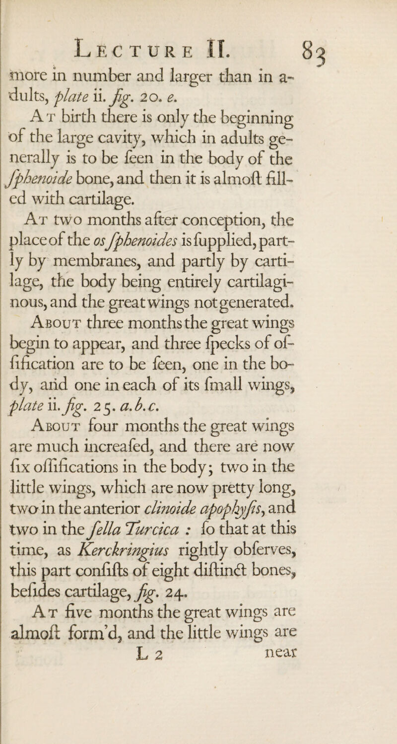 more in number and larger than in a- dults, plate ii. fig. 20. e. A t birth there is only the beginning of the large cavity, which in adults ge¬ nerally is to be feen in the body of the fphenoide bone, and then it is almoll fill¬ ed with cartilage. At two months after conception, the place of the os fphenoides is fupplied, part¬ ly by membranes, and partly by carti¬ lage, the body being entirely cartilagi¬ nous, and the great wings not generated. About three months the great wings begin to appear, and three Ipecks of of- fification are to be feen, one in the bo¬ dy, arid one in each of its fmall wings, plate ii .Jig. 25. a. b.c. About four months the great wings are much increaled, and there are now fix ofiifications in the body; two in the little wings, which are now pretty long, two in the anterior clinoide apophyfs, and two in the fella Turcica : fo that at this time, as Kerckringius rightly obferves, this part confifts of eight diftinft bones, befides cartilage, fig. 24. A t five months the great wings are almofi form’d, and the little wings are L 2 near