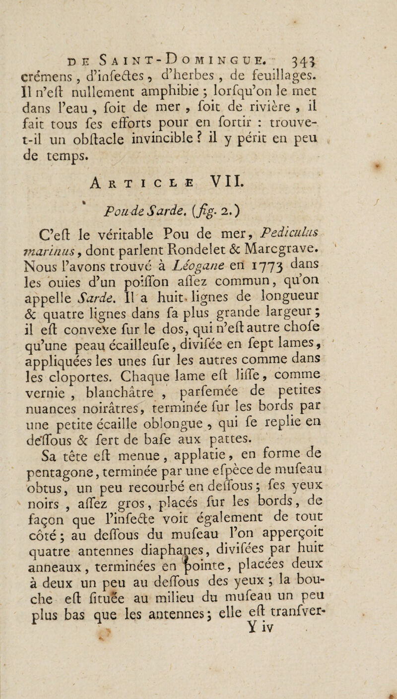 crémens , d’infeétes, d’herbes , de feuillages. 11 n’eft nullement amphibie ; lorfqu’on le met dans l’eau , foit de mer , foit de rivière , il fait tous fes efforts pour en fortir : trouve- t-il un obftacle invincible ? il y périt en peu de temps. Article VII. Ponde Sarde, {fig. 2.) C’eft le véritable Pou de mer, Pediculus marinas y dont parlent Rondelet 6c Marcgrave. Nous l’avons trouvé à Léogane en 1773 dans les ouies d’un poifton allez commun, qu on appelle Sarde. 11 a huit> lignes de longueur 6c quatre lignes dans fa plus grande largeur ; il eft convexe fur le dos, qui n’eft autre chofe qu’une peau écailleufe, divifée en fept lames, appliquées les unes fur les autres comme dans les cloportes. Chaque lame eft lifte 9 comme vernie , blanchâtre , parfemée de petites nuances noirâtres, terminée iur les bords par une petite écaille oblongue , qui fe replie en de'ffous 6c fert de bafe aux pattes. Sa tête eft menue, applatie, en forme de pentagone, terminée par une efpèce de mufeau obtus, un peu recourbé en deffous ; fes yeux noirs , aftez gros, placés fur les bords, de façon que l’infeéte voit également de tout côté ; au deffous du mufeau l’on apperçoit quatre antennes diaphanes, divifées par huit anneaux, terminées en pointe, placées deux à deux un peu au deffous des yeux ; la bou¬ che eft fituëe au milieu du mufeau un peu plus bas que les antennes; elle eft tranfver-