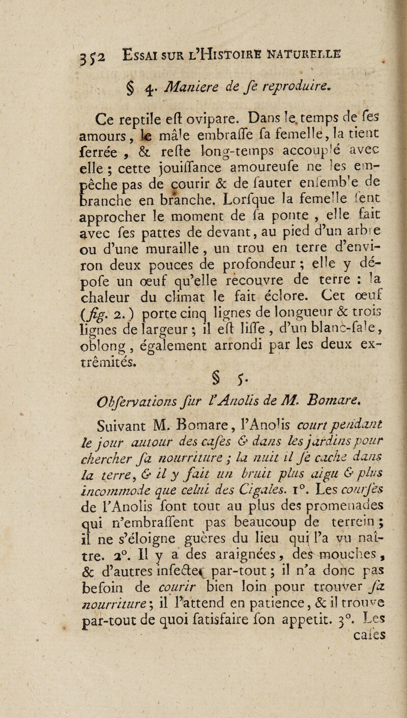' ’ ’ V § 4. Manière de fe reproduire. Ce reptile eft ovipare. Dans le. temps de Tes amours, te mâte embraffe fa femelle, la tient ferrée , & relie long-temps accoupte avec elle ; cette jouilTance amoureufe ne les em¬ pêche pas de courir & de fauter enlemb’e de branche en branche. Lorfque la feme’le lent approcher le moment de la ponte , elle fait avec fes pattes de devant, au pied d’un arbre ou d’une muraille , un trou en terre d’envi¬ ron deux pouces de profondeur ; elle y de- pofe un œuf qu’elle recouvre de terre : la chaleur du climat le fait éclore. Cet œuf (fig. 2. ) porte cinq lignes de longueur & trois lignes de largeur; il eft lifTe , d’un blanc-fate, oblong , également arrondi par les deux ex¬ trémités. § 5- Obfervatlons fur l’Anolis de AL B omare* Suivant M. Bomare, PAnohs court pendant le jour autour des cafés & dans les jardins pour chercher fa nourriture ; la nuit il Je cache dans la terre, & Il y fait un bruit plus aigu & plus incomtnode que celui des Cigales. i°. Les courjes de l'Anolis font tout au plus des promenades qui rdernbraffent pas beaucoup de terrein ; il ne s’éloigne guères du lieu qu^ l’a vu naî¬ tre. a°. Il y a des araignées, de^ mouches, & d’autres infe&e* par-tout ; il n'a dohc pas befoin de courir bien loin pour trouver fa nourriture; il l’attend en patience, 8c il trouve par-tout de quoi fatisfaire fon appétit. 30. Les cales i