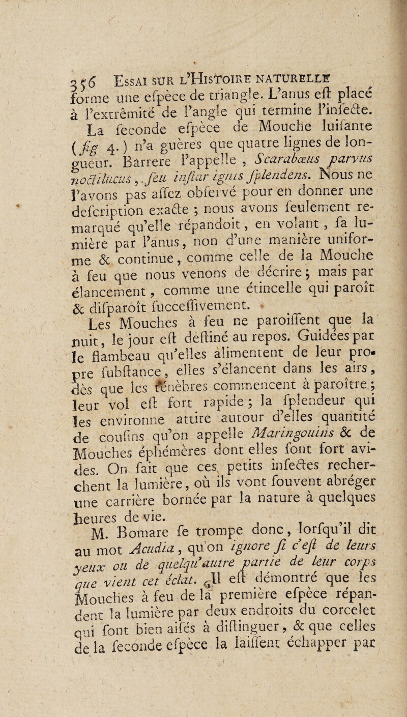 forme une espèce de triangle. L anus eil place à l’extrémité de l’angle qui termine l’infecte. La fécondé efpèce de Mouche luifante [ Jig 4.) n’a guères que quatre lignes de lon¬ gueur. Barrere 1 appelle , Seat abcziis pat vus riociducus , .Jeu injlar ignis J'plende/zs. Nous ne l’avons pas affez obfervé pour en donner une defeription exaâe ; nous avons feulement re¬ marqué qu’elle repanooit, eu voiant 3 fa lu¬ mière par l’anus, non d’une manière unifor¬ me 5c continue, comme celle de la Mouche .J feu que nous venons ce ccciiic, mais par élancement, comme une étincelle qui paroît & difparoît fucceffivement. Les Mouches à feu ne paroiflent que la nuit, le jour etl deftiné au repos. Guidées par Je flambeau qu’elles alimentent de leur pro* pre fubftance, elles s’élancent dans les airs, dès que les ténèbres commencent à paraître ; leur vol eil fort rapide; la fpiendeur qui les environne attire autour d’elles quantité de confins qu’on appelle Mdringouins 5c de Mouches éphémères dont elles font fort avi¬ des. On fait que ces petits infeétes recher¬ chent la lumière, où ils vont fouvent abréger une carrière bornée par la nature à quelques heures de vie. M. Bomare fe trompe donc, lorfqu il dit au mot Acudia, qu’on ignore fi ceft de leurs yeux ou de quelqu’autre partie de leur corps que Aient cet éclat. r,U eft démontré que les Mouches à feu de la première efpèce répan¬ dent la lumière par deux endroits du corcelet q,ji' font bien ailés à dilïinguer, & que celles de la fécondé efpèce la laiffenc échapper pat