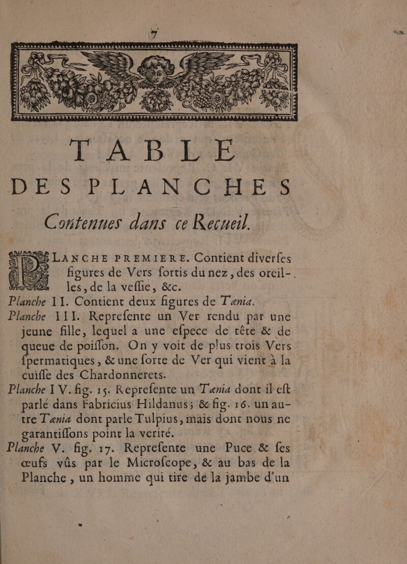 JERAALAARREAARRARE: AARRDARARRA AARARARAAË à À À A À À À À À À À À A À AAÂAARAAARAAAAA AAA ARAAAA AAA: à 4} : ss ; ee } NS LANCHE PREMIERE. Contient diverfes figures de Vers fortis du nez, des oreil- SA les , de la veflie, &amp;c. Planche A1. Contient deux figures de Tania. Planche 111. Reprefente un Ver rendu par une jeune fille, lequel a une efpece de rête &amp; de queue de poiflon. On y voit de plus trois Vers fpermariques, &amp; une forte de Ver qui vient à la cuifle des Chardonnerets. | | Planche 1 V. fig. 15. Reprefente un Tenia dont il ef parlé dans Fabricius Hildanus; &amp;: fig. 16. un au- tre L'enia dont parle Tulpius, mais donc nous ne garantiflons point la veriré. | Planche V. fig. 17. Reprefente une Puce &amp; fes” œufs vûs par le Microfcope, &amp; au bas de la Planche , un homme qui tire de la jambe d'un