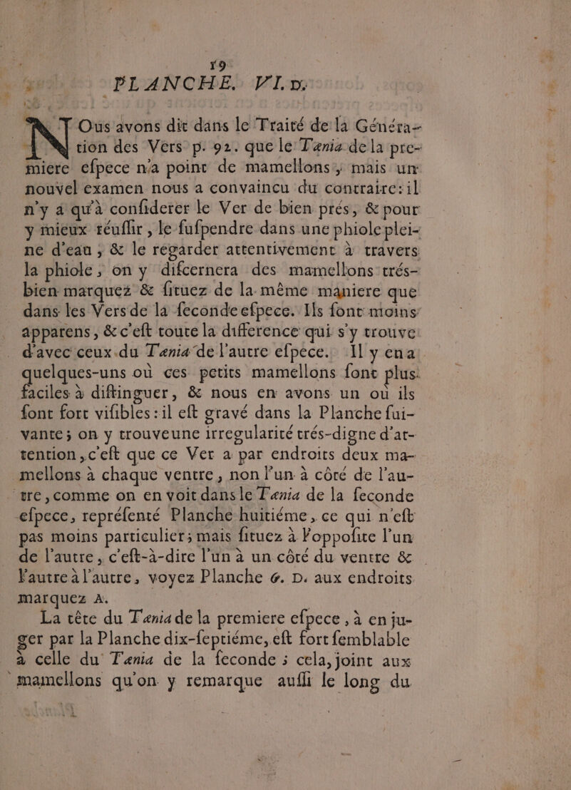 F9. PLANCHE. VI: Ous avons dit dans le Traité de là Généra- À ®j ion des Vers p. 92. que le Tania de la pre- miere efpece n'a point de mamellons, mais un nouvel examen nous a convaincu du concraire:il n'y a qu'à confiderer le Ver de bien prés, &amp; pour y mieux téufhr , le fufpendre dans une phioleplei- ne d'eau , &amp; le regarder attentivement à travers la phiole, on y difcernera des mamellons trés- bien marquez &amp; fituez de la même maniere que dans les Vers de la fecondeefpece. Ils font moins apparens , &amp; c'eft coute la difference qui s'y trouve _ d'avec ceux.du Tania de l'autre efpece.. Il y ena: quelques-uns où ces petits mamellons font plus: faciles à diftinguer, &amp; nous en avons un où ils font fort vifibles:il eft gravé dans la Planche fui- vante; on y trouveune irreoularité trés-digne d’at- tention ,c'eft que ce Ver à par endroits deux ma- mellons à chaque ventre, non l'un à côté de l’au- ‘tre, comme on en voit dansle lenia de la feconde efpece, repréfenté Planche huitiéme, ce qui n'eft pas moins particulier; mais fituez à Foppofite l’un de l’autre, c'eft-à-dire l’un à un côté du ventre &amp; Vautre à l'autre, voyez Planche 6. D. aux endroits marquez À. | | La cête du T'enia de la premiere efpece , à en ju- ger par la Planche dix-fepriéme, eft fort femblable à celle du Tania de la feconde ; cela, joint aux mamellons qu'on y remarque aufli le long du : à