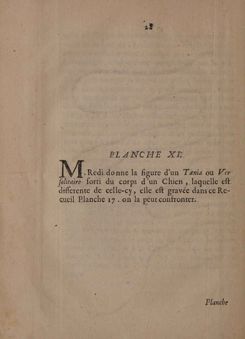 PL ANCIE XE VF Ro donne la figure d'un Tenia où Ver Tolitaire. forti du corps d’un Chien , laquelle ct. differente de celle-cy, elle eft gravée dansceRe- cucil: Planche 17 ..on la peut confronter. | Planche