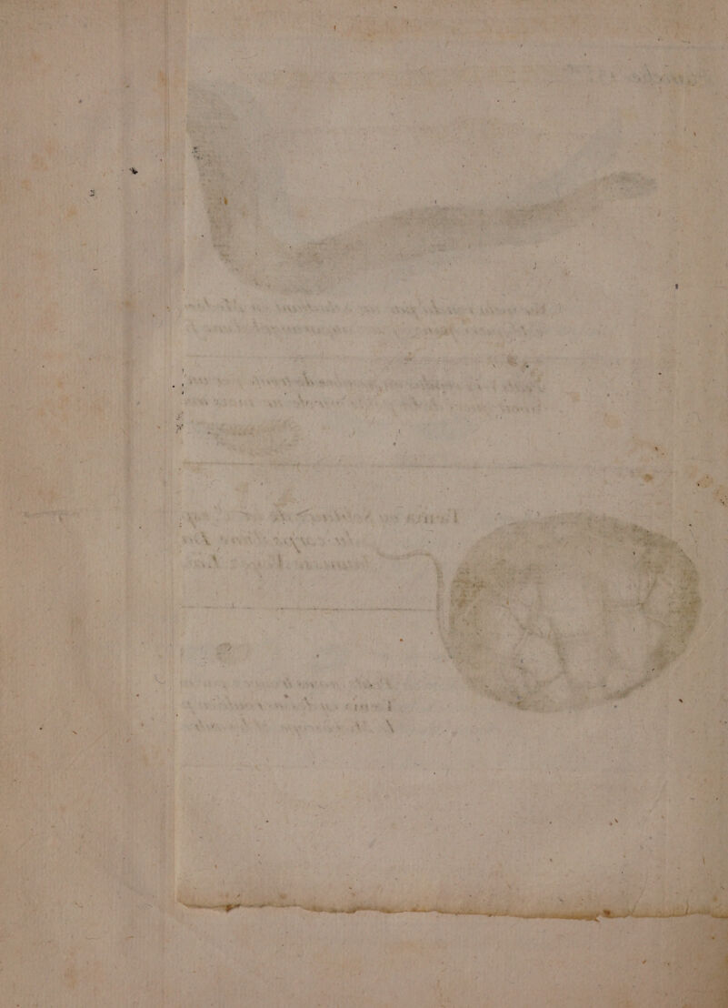 > EAN Lan DT mp 2 # À c É* 4 M : w «: ] Mi à 4 l 5 nf. r ñ: ut. FAT \ ARTS aie 4 as NRA AN EN LT PAU roue: { ! # ù y | AP % L« x . d 11 É \ 4 L ; à , : à pris 2h emo 4 MAR din dr LU 5e LT te Eh FAR 2 | GE FAN H ‘in Lo CRT y N s ar LA + RAA A sg de A MAL NUE : PRE rs 2 p 6 Gin ve dt We WA 3 + * VÉPPRTUAT RATES CE RNAT al