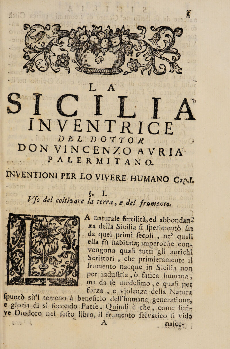 DEL DOTTO# DON VINCENZO A V R J A palermitano. INVENTIONI PER LO VIVERE HUMANO Cap.L yfo del coltivare la terra, e del frumento. A naturale fertilità, ed abbondar!* Ma della Sicilia fi (perimento fin da quei primi fecoJi , ne5 quali ella fu habitata; imperoche con* vengono quafi tutti gli antichi Scrittori , che primieramente il frumento nacque in Sicilia non per indufi;ria,ò fatica fiumana, nvi da fie medefimo , e quafi per r ^ . .. . forza , e violenza delia Natura punto su I terreno u beneficio deiPhumana generatione, c gloiia di sì fecondo Paefe. Quindi e che, come feri- Ve Diodoro nel ledo libro, H frumento Tei valico fi vid© - « A nalce-