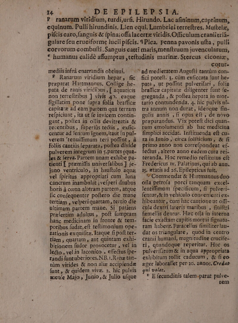 mediis infrà enarrandis obtinui. * Ranarum viridium hepar, fic praeparat Hartmannus, Collige .he- pata de ranis viridibus , [ aquaticís non terreftribus ] vivis 45. eaque fipgillatim pone fupra folia brafficz capita:z ad eam partem qua terram refpiciunt , ita ut fe invicem contin- gant , poftea in ollis devitreatis &amp; recentibus , faperiüs te&amp;is , exfic- centur ad lenrum ignem;itaut i n pul- verem tenui(fimum teri po(fint , à foliis cantiüs feparata; poftea divide pulverem integrum in 5.partes equa- les &amp; ferva. Partem unam exhibe pa- tienti [. przmiffis univerfalibus ] je- juno ventriculo, in hauftulo aqua vel fpiritus appropriati cum luna cancrum inambulat ; vefperi dnabus horis à ccena: alteram partem , atque fic confequenter poftero die mane tertiam , vefperi quartam , tertio die ultimam partem mane, Si patiens hanc medicinam in fronte &amp; tem- poribus fudat,eft teftimonium ope- zationis exquifitz. Itaque fi poft ter- tiam , quartam , ant quintam exhi- bitionem füudor provocetur , vel in le&amp;o , velin laconico , effe&amp;tus fpe- tüm virides &amp; non aliz accipiende funt , &amp; quidem viva. 2. hic pulvis mente Majo, Junio; &amp; Tulio ufque os cotur- fici potelt. 3. cüm exficcata funt he- pata, ut poffint pulverifati , folia braffice capitatz diligenter fant fe- greganda , &amp; poftea hepata in nior- tario contundenda. 4. hic pulvis ul-. tra annum non durat, ideoque fin- gulis annis ,fi opus eft , de novo przparandus. Vix poteft dici quan-. tum emolumenti ab hac medicina fimplici accidat. Inftituenda eft cu- ra in Iunio , circa folfticium , &amp; fi primo anno non correfpondeat ef- fe&amp;us , altero anno eadem cura rei- teranda. Hoc remedio reflitutus eft Fredericus tv. Palatinus, qui ab ann. Is. etatis ad 26. Epilepticus fuit. $Commendat &amp; H:rtmannus duo: ofla petrofa porci tanquam excel- lentiffimum ípecificum, fi pulveri-- fentur,&amp; in vehiculo convenieati ex- hibeantur, cam hac cautione ut offi- cula dextri lateris maribus , finiftri ram habent. Paracelíus fimiliterlau- dat os triangulate, quod in centro cranii humani, magnitudine crucife-- ri, quandoque reperitur. Hoc os. pulverifitum &amp; In aqua appropriata ager laboraffet per 2c. annos, Credat ui volet. * E fecundinis talem patat pulve-