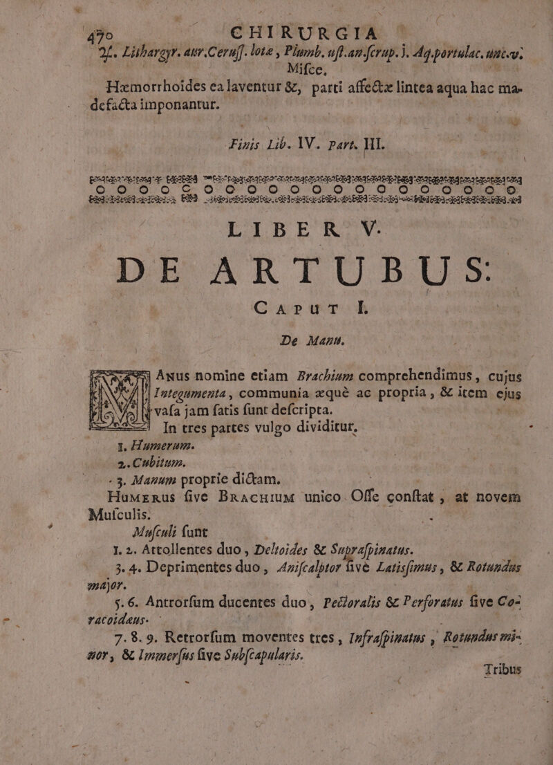 3o. / 'ÉHIRURGIA ^ X. Lübargr. air. Cernf]. lote , Plumb. ufl.an iie J. 4. portulac.: Mv. ifce, | Hxmorrhoides ealaventur &amp;, parti fette lintea aqua hac ma- - defacta un ponantur. isis Lib. 1V. part. I1. A pvataprcpepaeq ae tedESd Tetasttaegienaata conata tasataeatao qnae qtdeatde Ipae oan qatap dona tdt eid tan O0 DOG OOQ'.O oO OQ O O O Oo OG Gio u t2e3b3cE3cpi9s E93 sdieiciiseliqo d ISt EIOS USA EUEM deg iet EISGEX qd ES QE UE Ed d LIBER V. DE ARTUBUS. G xpWu T De Mann. AS] Awus nomine etiam. Bracbium comprehendimus , cujus || I'ategumenta , communia zqué ac pepptia. &amp; item cjus i vafa jam fatis funt defcripta. ! In tres partes vulgo dividitur. 1. Hummer um. : 2. Cubitum. «3. Manum proprie diam. HuMrmnus five Bracumnw unico . Off: conftat , , at novem Mulculis. Jh Mafculi funt ! I. 2. Attollentes duo , Deltoides &amp; k fy 279. d Deprimentes dd à Anifcaltor vé zetisfi yu; , &amp; Rotuudas major. 7. 6. Antrorfum ducentes duo, Pelloralis 8 Perforatus five £o: racoidaus. — 7.8. 9. Retrorfum moventes tres , Tfrapimatns y à Retundus mi 80r, G Immer[us ive Sub[capularis. Tribus