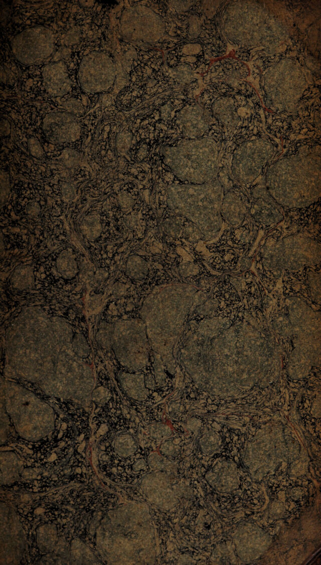digitised image 1