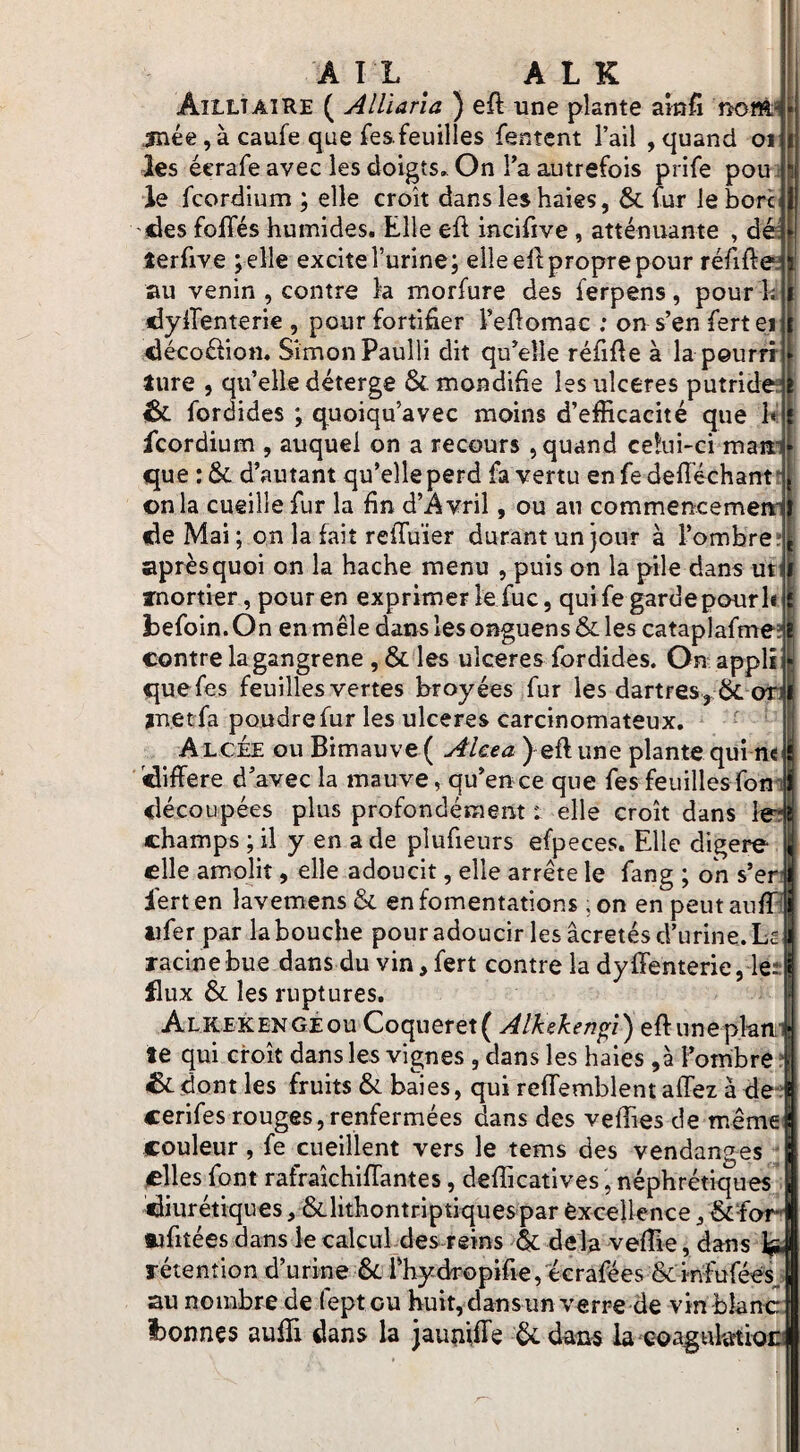 AîLLTAIRE ( Alliarîa ) eft une plante ainlî îK>m“ jnée ,à caufe que fesfeuilles fentcnt l’ail , quand ou -les éerafe avec les doigts.. On Ta autrefois prife pou le fcordium ; elle croît dans les haies, & fur le borel des foffés humides. Elle eft inciftve , atténuante , d^ lerfive ; elle excite l’urine; elle eil propre pour réfifle^ au venin , contre k morfure des ferpens, pour k dylTenterie , pour fortifier l’eflomac ; on s’en fertei décoéfion, Simon Paulli dit qu’elle réfifle à la peurrr lure , qu’elle déterge 5cmondifie les ulcérés putride? 6c fordides ; quoiqu’avec moins d’efficacité que hi fcordium , auquel on a recours , quand celui-ci mam que :& d’autant qu’elle perd fa vertu en fe délié chant' onia cueille fur la fin d’Âvril, ou au commencemenn de Mai ; on la fait relluïer durant un jour à l’ombre i après quoi on la hache menu , puis on la pile dans un mortier, pour en exprimer le fuc, qui fe garde pour It befoin. On en mêle dans les onguens & les cataplafme: contre la gangrené , & les ulcérés fordides. On applî quefes feuilles vertes broyées fur les dartresyÔC on met fa poudre fur les ulcérés carcinomateux. ' ‘ Alcée ou Bimauve ( Aleea ) eftune plante qui n« ' différé d’avec la mauve, qu’en ce que fes feuilles fon découpées plus profondément t elle croît dans le champs ; il y en a de plufieurs efpeces. Elle digéré elle amioliî, elle adoucit, elle arrête le fang ; on s’er ferten lavemens & en fomentations ,on en peutanff ijfer par la bouche pour adoucir les âcretés d’urine. Ls racine bue dans du vin, fert contre la dyffenterie, les flux & les ruptures. Alkekengeou Coqueret( Alkeken^î') eftunepkm te qui croît dans les vignes , dans les haies ,à Fombre ? 6cdont les fruits 6c baies, qui reffemblent affez à der cerifes rouges, renfermées dans des veffies de même! couleur , fe cueillent vers le tems des vendanges ‘ /elles font rafraichiffantes, defficatives, néphrétiques diurétiques, 6clithontriptiquespar èxcellence, ëcfor*' «fitées dans le calcul des-reins 6c dek veffie, dans 1^ rétention d’urine 6c Fhydropifie,ècrafées &mfüféés^. au nombre de fepteu huit, dans un verre de vin blanc bonnes suffi dans la jauniffe ôedau-s la eoagubtiac