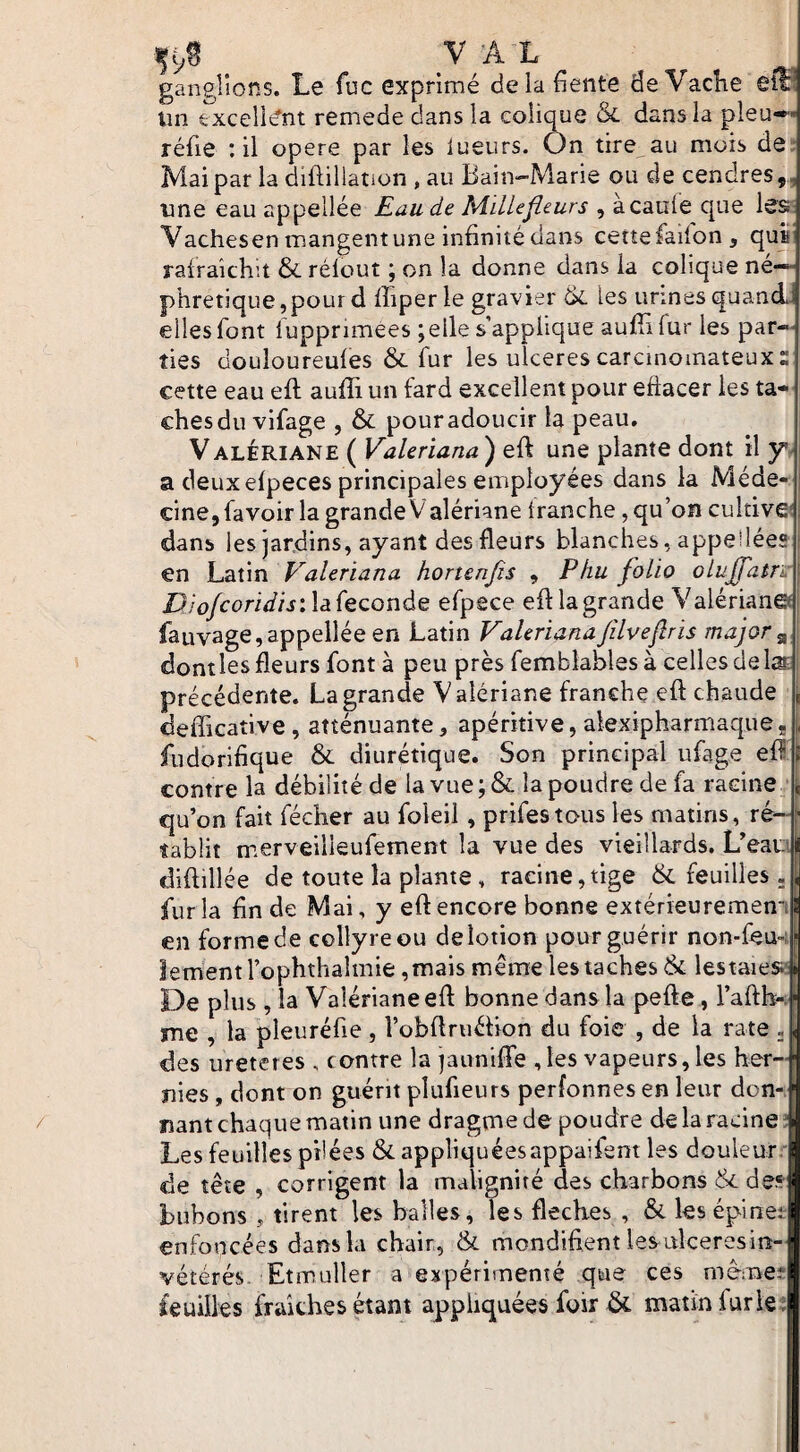 ganglions. Le fuc exprimé delà fiente de VacKe eill Un excellent remede dans la colique & dans la pieu-*- réfie : il opéré par les lueurs. On tire au mois de. Mai par la diftiliation , au Bain-Marie ou de cendres,, une eau appellée Eau de MilUfleurs , àcauie que les- Vachesen mangentune infinité dans cettefaifon, quL rafraîchit & rélout ; on la donne dans la colique né¬ phrétique, pour d fhperle gravier & les urines quand: elles font fuppnmees ;elle s’applique aufîifur les par¬ ties douloureufes & fur les ulcérés carcinomateux ï cette eau eft aufîi un fard excellent pour effacer les ta¬ ches du vifage , & pour adoucir la peau. V ALÉRIANE ( Valeriana ) eft une plante dont il y> a deux efpeces principales employées dans la Méde¬ cine, favoir la grande Valériane tranche, qu’on cultive! dans les jardins, ayant des fleurs blanches, appeiléea en Latin V^aleriana hortenjîs , Phu folio oLuJfatri, D/q/cerir/zj:1a fécondé efpece efl: la grande Valérianes fauvage, appellée en Latin Valeriana filvefris major ^ dontles fleurs font à peu près femblablesà cellesdela: précédente. La grande V aîériane franche efl: chaude , defîicative, atténuante, apéritive, alexipharmaque, fudorifique & diurétique. Son principal ufage efl J contre la débilité de la vue ; & la poudre de fa racine ^ qu’on fait fécher au foleil , prifestous les matins, ré- i- tablit merveilieufement la vue des vieillards. L’eanl diflillée de toute la plante, racine,tige & feuilles. 1 fur la fin de Mai, y efl encore bonne extérieuremem ! en forme de collyre ou de lotion pour guérir non-feu-t* iementrophthalmie ,mais meme les taches lestaiesiiii De plus , la Valériane efl bonne dans la pefle, l’aflh-. i me , la pleuréfie, robflruétion du foie , de la rate , des ureteres , contre la jaunifle ,Ies vapeurs, les her¬ nies , dont on guérit plufieurs perfonnes en leur don-, nant chaque matin une dragtnede poudre de la racines Les feuilles pilées & appliquéesappaifent les douleur: de tête , corrigent la malignité des charbons & des bubons , tirent les balles, les fléchés , & lesépinei enfoncées dans la chair, & mondifient les ulcérés in¬ vétérés. Etmuller a expérimenté que ces memei; feuilles fraîches étant appliquées foir & matin furie;