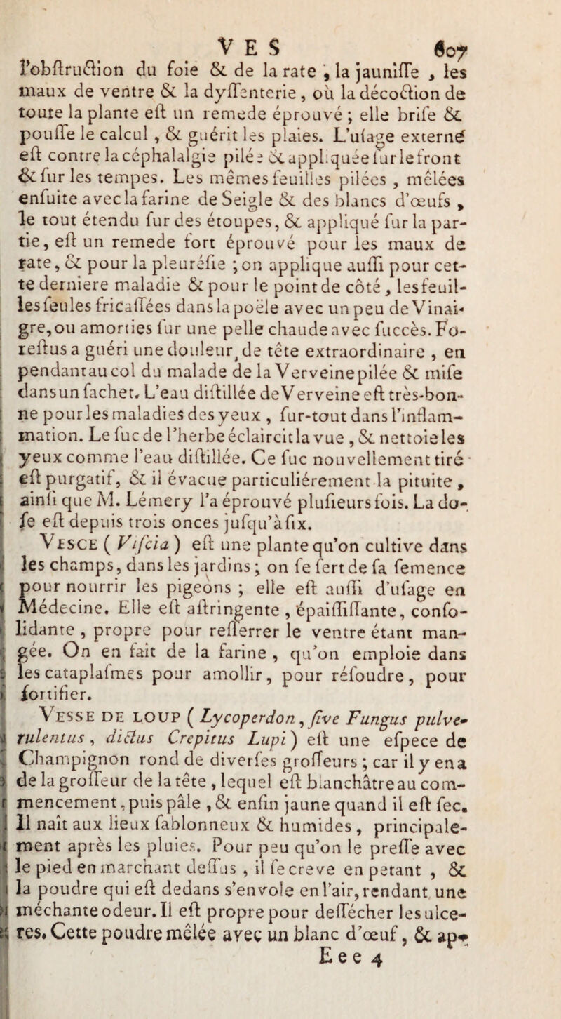 I \ i V E $ 607 Fobflruâion du foie & de la rate , la jaunlfTe , les maux de ventre & la dylTenterie, où la décoélion de toute la plante eft un remede éprouvé ; elle brife 6l pouffe le calcul, & guérit les plaies. L’ulage extern^ eft contre la céphalalgie pilée ocapphquéefurletront 6c fur les tempes. Les mêmes feuilles pilées, mêlées enfuite avec la farine de Seigle & des blancs d’œufs , le tout etendu fur des étoupes, & appliqué iur la par¬ tie, eft un remede tort éprouvé pour les maux de rate, üC pour la pleuréfie ; on applique auffi pour cet¬ te derniere maladie & pour le point de côté, les feuil¬ les feules fricaffées dans la poêle avec un peu de Vinai- gre,ou amorties fur une pelle chaude avec fuccès.Fo- reffusagueri une douleur^ de tête extraordinaire , en pendantaucol du malade de la Verveinepilée & mife dansun fachet* L’eau dillillée deVerveine eft très-bon¬ ne pour les maladies des yeux , fur-tout dans l’intlam- mation. Le fucde l’herbeéclaircitla vue, &. nettoieles yeux comme l’eau diftillée. Ce fuc nouvellement tiré • eft purgatif, 6c il évacue particuliérement la pituite, ainîi que M. Lémery l’a éprouvé plufieurstois. La do- fe eft depuis trois onces jufqu’àfix. ViscE ( yifcia ) eft une plante qu’on cultive dans les champs, dans les jardins; on fefertdefa femence pour nourrir les pigeons ; elle eft auffi d’ufage en Médecine. Elle eft aftringente , épaiffiffante, confo- lidante , propre pour refterrer le ventre étant man¬ gée. On en fait de la farine , qu’on emploie dans les cataplalmes pour amollir, pour réfoudre, pour fortifier. Vesse de loup ( Lycoperdon ^ Jîve Fungus pulve» rulentus, diàus Crcpïtus Lupï) eft une efpece de Champignon rond de diverfes groffeurs ; car ily ena de la groffeur de la tête , lequel eft blanchâtre au com¬ mencement , puis pâle , & enfin jaune quand il eft fec. il naît aux lieux fablonneux & humides , principale¬ ment après les pluies. Pour peu qu’on le preffe avec le pied en marchant deffus , il fe creve en pétant , & la poudre qui eft dedans s’envole en l’air, rendant, une méchante odeur. Il eft propre pour deffécher les ulcé¬ rés. Cette poudre mêlée arec un blanc d’œuf,