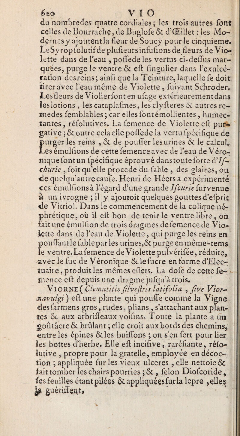 éto VIO du nombredes quatre cordiales; les trois autres font celles de Bourrache, de Buglofe & d’(Eillet : les Mo- dernesy ajoutentla fleur de Soucy pour le cinquième. LeSyrbpfolutifde pliuleursinfufions de fleurs de Vio¬ lette dans de l’eau , polTede les vertus ci-deflTus mar- quiées, purge le ventre & efl: fingulier dans l’exulcé- ration desreins; ainfl que la Teinture, laquelle le doit tirer avec l’eau même de Violette , fuivant Schroder. Lesfleurs de Violierfont en ufage extérieurementdans les lotions, les cataplafmes, les cîyfteres & autres re- medes femblables ; car elles font émollientes, humec¬ tantes , réfolutives. La femence de Violette efl: pur¬ gative ; & outre cela elle poffede la vertu rpécifique de £urger les reins , & de poufTer les urines & le calcula es émulflons de cette femence avec de l’eau de Véro- îiiquefontun fpécifique éprouvé dans toute forte churie , foitquelle procédé du fable , des glaires, ou de quelqu’autrecaufe. Henri de Héersa expérimenté ces émulflons à l’égard d’une grande Ifcurie furvenue à un ivrogne ; il y ajoutoit quelques gouttes d’efprit de VitrioL Dans le commencement de la colique né¬ phrétique, oh il efl bon de tenir le ventre libre, on fait une émulfion de trois dragmes defemencede Vio¬ lette dans de l’eau de Violette, qui purge les reins en pouffant le fable par les urines,& purge en même-tems le ventre^Lafemence de Violette pulvérifée, réduite, avec le fuc de Véronique &lefucre en forme d’Elec- îuaire, produit les mêmes effets. La dofe de cette fe- • rnence efl depuis une dragmejufqu’à trois. Viorne( Clematitis fdvcjlris latifoUa , Jive Vior^ navulgi ) efl une plante qui pouffe comme la Vigne desfarmens gros , rudes, plians , s’attachant aux plan¬ tes & aux arbrifleaux voiflns» Toute la plante a un goûtâcre& brûlant ;elle croît aux bords des chemins, entre les épines &les buiffons ; on s’en fert pour lier les bottes d’herbe. Elle efl incifive, raréfiante, rélo- lutive , propre pour la gratelle, employée en décoc¬ tion ; appliquée fur les vieux ulcérés , elle nettoie & fait tomber les chairs pourries ; &, félon Diofeoride, fes feuilles étantpiiées appliquées fur la lepre ÿ guériffent.