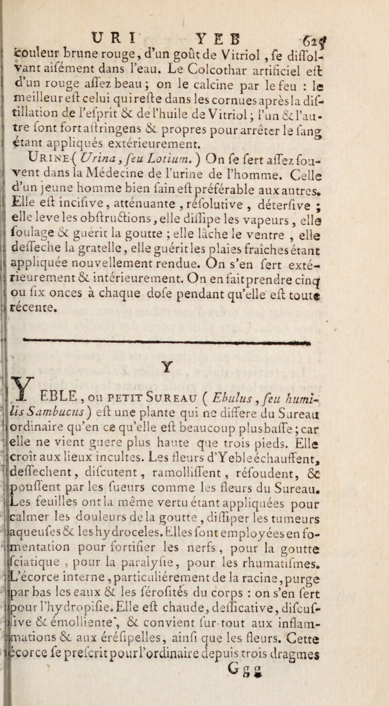f U R I Y E B fcouleur brune rouge, d’un goût de Vitriol ,Ce dlffol- vant aifément dans l’eau. Le Colcothar artificiel efl d’un rouge affez beau ; on le calcine par le feu : le lueilleur ell: celui qui refte dans les cornues après la dif- tillation de l’elprit & de l’huile de Vitriol; l’un & l’au¬ tre font fort alfringens & propres pour arrêter le faner étant appliqués extérieurement. URiiSE( Urina, feu Lotiurn. ) On fe fert afTezfou- vent dans la Médecine de l’urine de l’homme. Celle d’un jeune homme bien fain efl préférable aux autres. Elle ed incifive, atténuante , réfolutive , déterfive ; elle leve les obdruélions, elle dilFipe les vapeurs, elle foulage 6c guérit la goutte ; elle lâche le ventre , elle defTeche la gratellc, elle guérit les plaies fraîches étant appliquée nouvellement rendue. On s’en fert exté¬ rieurement ôc intérieurement. On enfaitprendre cinq ou fix onces à chaque dofe pendant qu’elle efl toute récente. Y EBLE , ou PETIT Sureau ( Ebulus, feu hiinii^ lisSamhucus') efl une plante qui ne différé du Sureau ordinaire qu’en ce qu’elle efl beaucoup plusbaffe ; car elle ne vient guère plus haute que trois pieds. Elle croît aux lieux incultes. Les fleurs d’Yebleéchauffent, deffechent, difeutent, ramolliffent, réfoudent, ôc { pouffent par les fueurs comme les fleurs du Sureau. Les feuilles ont la même vertu étant appliquées pour calmer les douleurs delà goutte , diiTiper les tumeurs aqueufes & les hydrocèles. Elles font employées en fo¬ mentation pour fortifier les nerfs, pour la goutte feiatique , pour la paraiyfie, pour les rhumatifmes. j’écorce interne , particuliérement de la racine,purge aar bas les eaux 6c les férofités du corps : on s’en fert pour l’hydropifie.Elle efl chaude, delîicative, difeuf- ive 6c émolliente', 6c convient fur tout aux inflain- nations 6c aux éréfipelles, ainfi que les fleurs. Cette corce fe prefcritpourl’ordinaire depuis trois dragmes Ggij