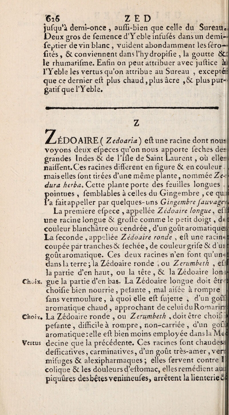 ;6aS ^ ZED |urqu*à demi-otide , auffi-bien que celle du Sureaiïa, Deux gros de feinence d’Yeble infufés dans un demi— fe^itier devin blanc , vuident abondamment lesTéro— fîtes, & conviennent dans l’hydropifie , la goutte Ôd îe rhumarifme. Enfin on peut attribuer avec juftice ài l’Yeble les vertus qu’on attribue au Sureau , exceptœ que ce dernier eft plus chaud, plus âcre plus pur¬ gatif quel’Yeble. Z ,ÉDOAIRE( Zedoarîa) eftune racine dont nous voyons deux efpeces qu’on nous apporte feches des grandes Indes & de l’ifle de Saint Laurent, ou elles naiffent.Ces racines different en figure & en couleur., mais elles font tirées d’une même plante, nommée dura heri>a. Cette plante porte des feuilles longues pointues , femblables à celles du Gingembre , ce qu. l’a faitappeller par quelques-uns Gingembre fauvage-i La première efpece , appellée Zédoaire longue^ efil une racine longue & groffe comme le petit doigt, da couleur blanchâtre ou cendrée, d’un goût aromatiqu La fécondé , appellée Zédoaire ronde , efi une racine coupée par tranches & lechée, de couleur grife & d’un goût aromatique. Ces deux racines n’en font qu’unKi dans la terre; la Zédoaire ronde , ou Zerumheth , e£ la partie d’en haut, ou la tête , 6c la Zédoaire Ion Chois, gue la partie d’en ba$. La Zédoaire longue doit êtr ' choifie bien nourrie , pelante , mal ailée à rompre fans vermoulure, à quoi elle eft fujette , d’un goû aromatique chaud ^ approchant de celui du Romarin Choix, La Zédoaire ronde , ou Zerumheth ,doit être choifi pefante , difficile à rompre, non-carriée , d’un goL aromatique: elle eft bien moins employée dans la Ms Vertus decine que la précédente. Ces racines font chaudes; defficatives, carminatives, d’un goût très-amer, ver mifuges & alexipharmaques ; elles fervent contre I colique 6cles douleurs d’eftomac, elles remédient aur piquûres desbétèsvenimeufes, arrêtent lalienterieS ■