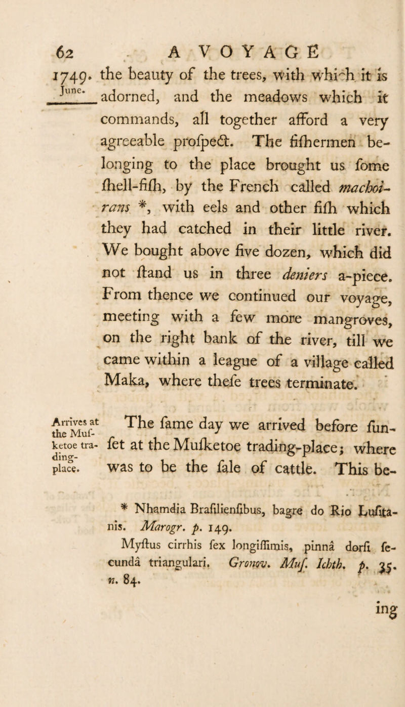 t , . * i • 1749. the beauty of the trees, with whFh it is Junc‘ adorned, and the meadows which it commands, all together afford a very agreeable profped:. The fifhermen be¬ longing to the place brought us fome fhell-fifh, by the French called machoi- vans *, with eels and other fifh which they had catched in their little river. We bought above five dozen, which did not ftand us in three denters a-piece. From thence we continued our voyage, meeting with a few more mangroves, on the right bank of the river, till we came within a league of a village called Maka, where thefe trees terminate. AelvLui^ famc day we arrived before fun- ketoe tra- fet at the Mulketoe trading-place; where place. was to be the fale of cattle. This be- * Nhamdia Brafilienfibus, bagre do Rio Lufita- nis. Marogr. p. 149. Myftus cirrhis fex longiflimis, pinna dorfi fe- cunda triangulari. Gronov. Mu/. Icbth. p. 35. w. 84.