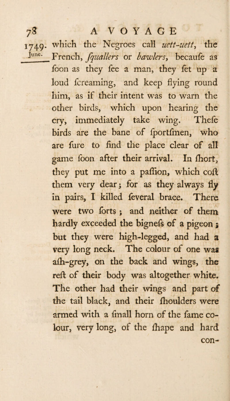 y3 A V O Y A G E 1749. which the Negroes call uett-uetty the June* French, fquallers or bawlersy becaufe as foon as they fee a man, they fet up a loud fcreaming, and keep flying round him, as if their intent was to warn the other birds, which upon hearing the cry, immediately take wing. Thele birds are the bane of Iportfmen, who are fure to find the place clear of all game foon after their arrival. In fhort, they put me into a paflion, which coft them very dear 5 for as they always fly in pairs, I killed feveral brace. There were two forts ; and neither of them hardly exceeded the bignefs of a pigeon ; but they were high-legged, and had a very long neck. The colour of one was alh-grey, on the back and wings, the reft of their body was altogether white. The other had their wings and part of the tail black, and their fhoulders were armed with a fmall horn of the fame co¬ lour, very long, of the Ihape and hard