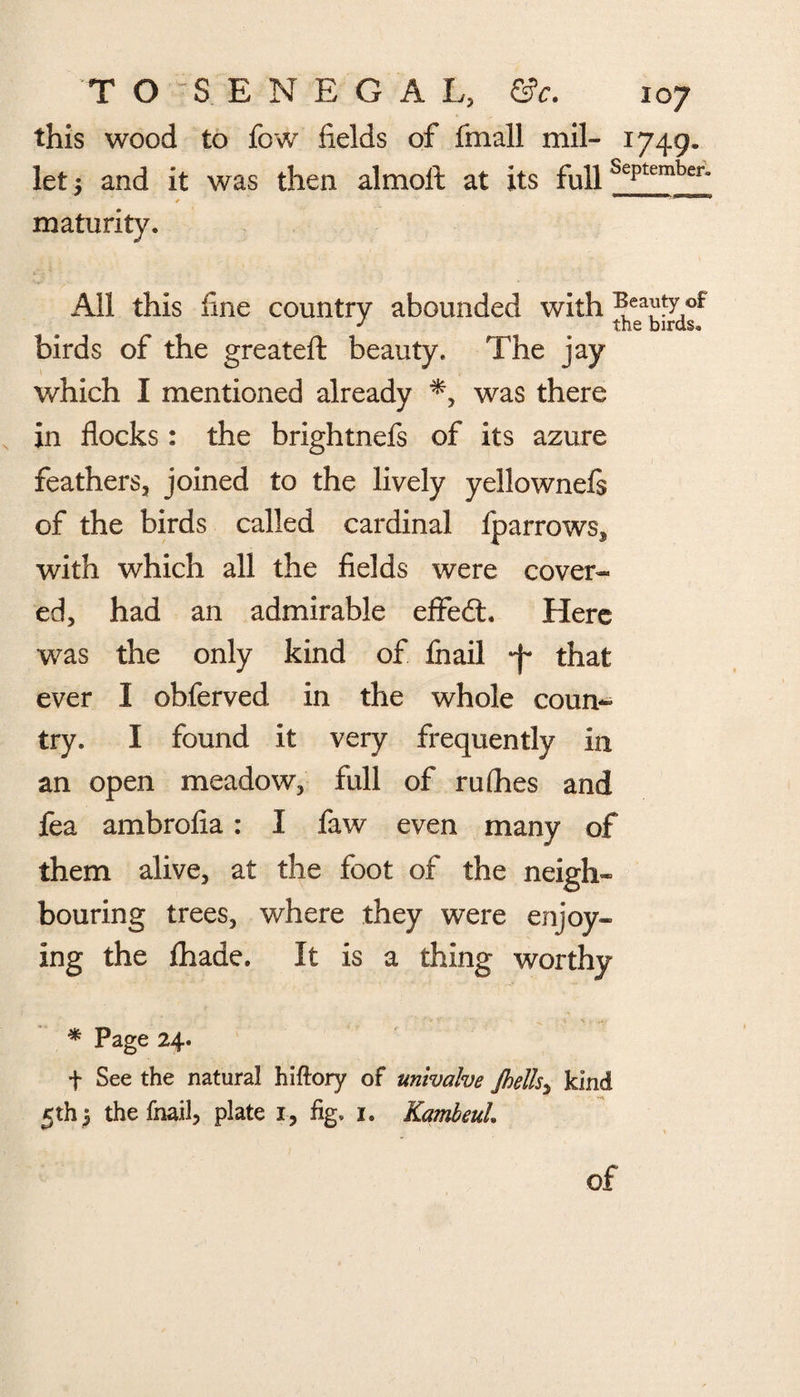 this wood to fow fields of fmall mil- 1749- let; and it was then almoft at its full SePtember- * maturity. All this fine country abounded with beauty of J ' the birds. birds of the greatefl: beauty. The jay which I mentioned already was there in flocks: the brightnefs of its azure feathers, joined to the lively yellownels of the birds called cardinal fparrows, with which all the fields were cover* ed, had an admirable effedl. Here was the only kind of fnail *j~ that ever I obferved in the whole coun* try. I found it very frequently in an open meadow, full of ru flies and fea ambrofia: I faw even many of them alive, at the foot of the neigh* bouring trees, where they were enjoy¬ ing the fhade. It is a thing worthy * Page 24. f See the natural hi {lory of univalve Jhellsy kind 5th j the fnail, plate 1, fig. 1. KambeuL of
