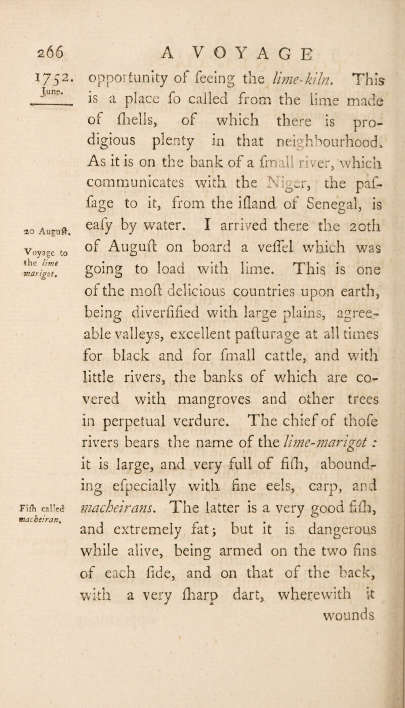 J75 2. June. 20 Augufl. Voyage to the lime marigot. Fifh called macbeiran. opportunity of feeing the lime-kiln. This is a place fo called from the lime made of fhells, of which there is pro¬ digious plenty in that neighbourhood* As it is on the bank of a final’ river, which communicates with the Niger, the paf- fage to it, from the ifland of Senegal, is eafy by water. I arrived there the 20th of Auguft on board a veflel which was going to load with lime. This is one of the mod delicious countries upon earth, being diverfified with large plains, agree¬ able valleys, excellent pafturage at all times for black and for fmall cattle, and with little rivers, the banks of which are co¬ vered with mangroves and other trees in perpetual verdure. The chief of thofe rivers bears the name of the lime-marigot: it is large, and very full of fifh, abound¬ ing efpecially with fine eels, carp, and macheirans. The latter is a very good fifh, and extremely fat; but it is dangerous while alive, being armed on the two fins of each fide, and on that of the back, with a very {harp dart, wherewith it wounds