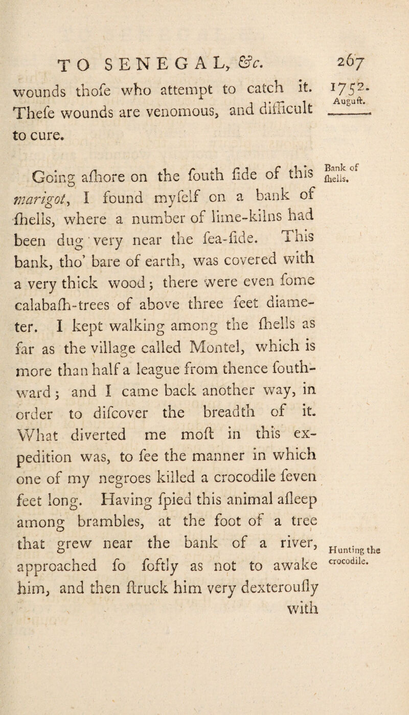 wounds thofe who attempt to catch it. Thefe wounds are venomous, and difficult to cure. Goins: afhore on the fouth fide of this O _ rnarigot, I found myfelf on a bank or fhelis, where a number of lime-kilns had been dug‘very near the fea-fide. ims bank, tho’ bare of earth, was covered with a very thick wood there were even fame calabafh-trees of above three feet diame¬ ter. I kept walking among the fhells as far as the village called Montel, which is more than half a league from thence fouth- ward; and I came back another way, in order to difcover the breadth of it. What diverted me mod: in this ex¬ pedition was, to fee the manner in which one of my negroes killed a crocodile feven feet long. Having fpied this animal afleep among brambles, at the foot of a tree that grew near the bank of a river, approached fo foftly as not to awake him, and then ftruck him very dexteroufly with 1752. Auguft. Bank of fhelis. Hunting the crocodile.