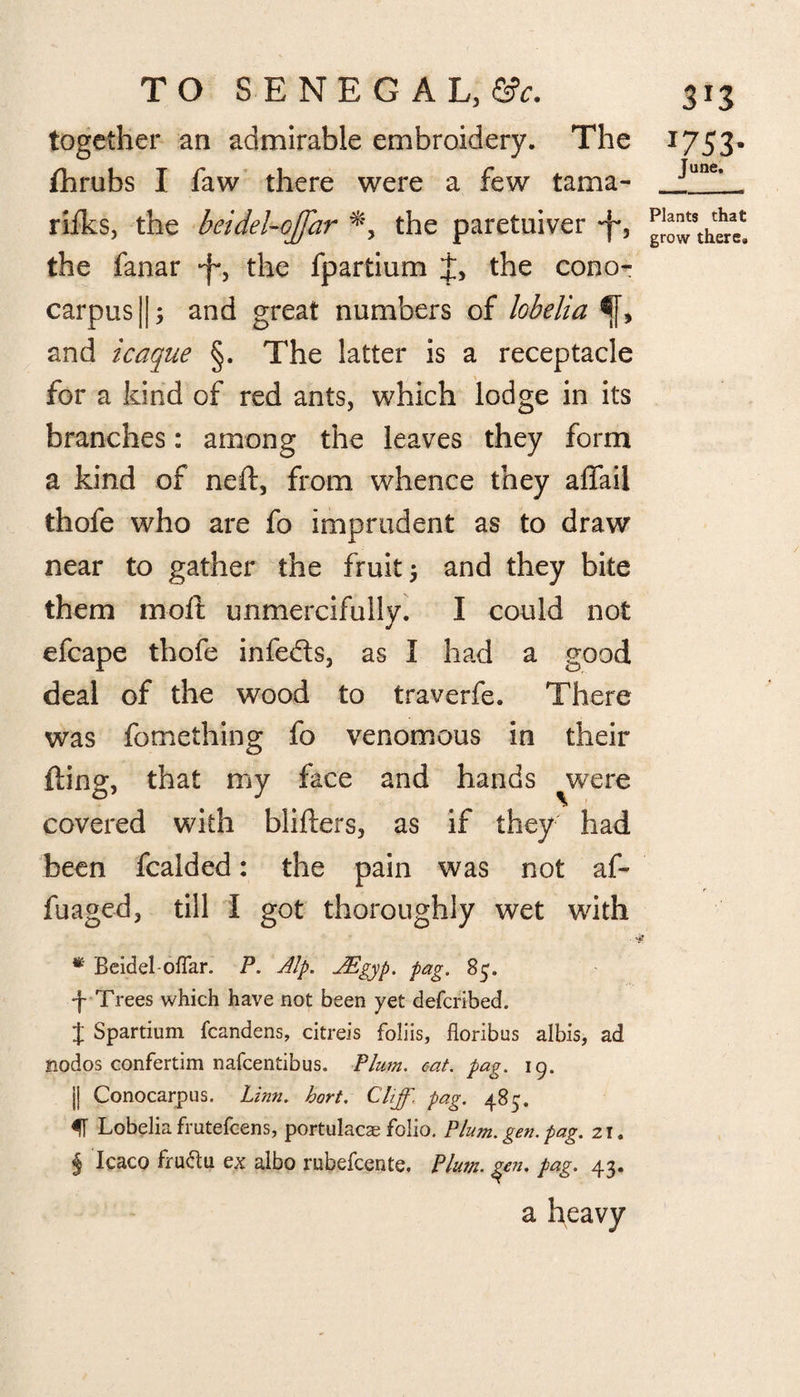 together an admirable embroidery. The fhrubs I faw there were a few tama- rijfks, the beidel-ojfar the paretuiver *f*, the fanar •f, the fpartium the cono¬ carpus || and great numbers of lobelia <[, and icaque §. The latter is a receptacle for a kind of red ants, which lodge in its branches: among the leaves they form a kind of neft, from whence they affail thofe who are fo imprudent as to draw near to gather the fruit3 and they bite them molt unmercifully. I could not efcape thofe infe&s, as I had a good deal of the wood to traverfe. There was fomething fo venomous in their fting, that my face and hands ^were covered with blifters, as if they had been fcalded: the pain was not af- fuaged, till I got thoroughly wet with * Beidel ofiar. P. Alp. AEgyp. pag. 83. •j- Trees which have not been yet defcribed. % Spartium fcandens, citreis foliis, floribus albis, ad nodos confertim nafcentibus. Plum. cat. pag. 19. || Conocarpus. Linn. hart. Cliff, pag. 485. IT Lobelia frutefcens, portulacae folio. Plum. gen. pag. 21. § Icaco fruftu ex albo rubefcente. Plujn. gen. pag. 43. a heavy *753- June. Plants that grow there.