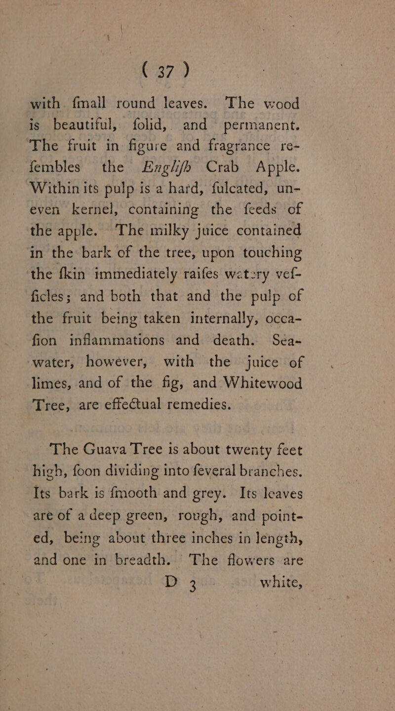 with fmall round leaves. The wood is beautiful, folid, and permanent. ‘The fruit in figure and fragrance re- fembles the LEngli/h Crab Apple. Within its pulp is a hard, fulcated, un- even kernel, containing the feeds of | the apple. The milky juice contained in the bark of the tree, upon touching the fkin immediately raifes watery vel- ficles; and both that and the pulp of the fruit being taken internally, occa- fion inflammations and death. Seéa- water, however, with the juice of limes, and of the fig, and Whitewood Tree, are effectual remedies. The Guava Tree is about twenty feet high, foon dividing into feveral branches. Its bark is fmooth and grey. Its leaves are of a deep green, rough, and point- ed, being about three inches in length, and one in breadth. The flowers are 0 ee) white,