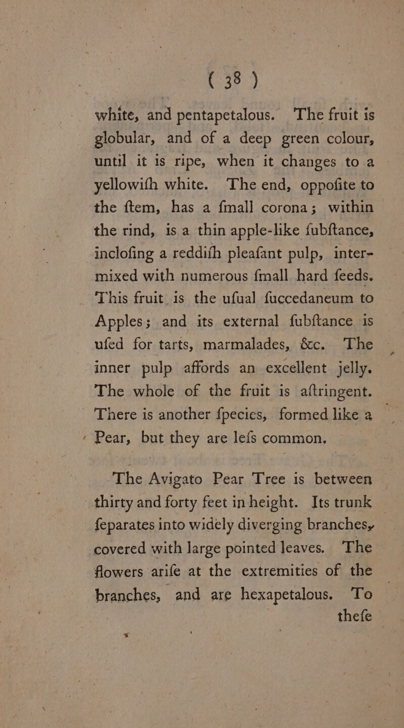 white, and pentapetalous. The fruit is globular, and of a deep green colour, until it is ripe, when it changes toa yellowith white. The end, oppofite to the ftem, has a fmall corona; within the rind, is a thin apple-like fubftance, inclofing a reddith pleafant pulp, inter- mixed with numerous {mall hard feeds, _ This fruit is the ufual fuccedaneum to Apples; and its external fubftance is ufed for tarts, marmalades, &amp;c. The ~ inner pulp affords an excellent jelly. The whole of the fruit is aftringent. There is another fpecies, formed like a — * Pear, but they are lefs common, The Avigato Pear Tree is between © thirty and forty feet inheight. Its trunk feparates into widely diverging branches, | covered with large pointed leaves. The flowers arife at the extremities of the branches, and are hexapetalous. To : thefe a