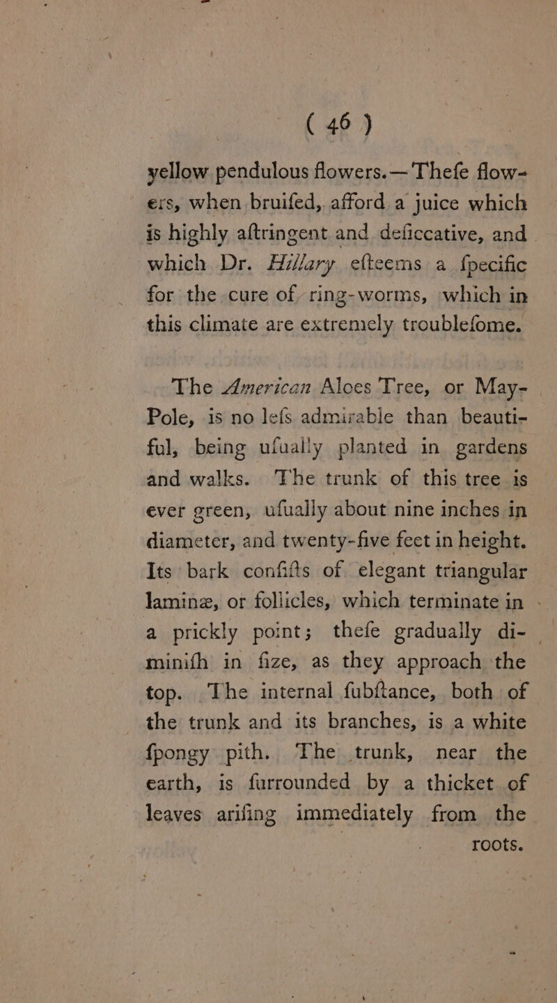 yellow pendulous flowers.— 'Thefe flow- ers, when bruifed,. afford a juice which is highly aftringent and deficcative, and which Dr. Hillary efteems a_fpecific for the cure of ring-worms, which in this climate are extremely troublefome. The American Aloes Tree, or May- Pole, is no lefs admirable than beauti- ful, being ufually planted in gardens and walks. The trunk of this tree is ever green, ufually about nine inches in diameter, and twenty-five feet in height. Its bark confifts of elegant triangular lamina, or follicles, which terminate in . a prickly point; thefe gradually di- | minifh in fize, as they approach the top. .The internal fubftance, both of the trunk and its branches, is a white fpongy pith. The trunk, near the earth, is furrounded by a thicket of leaves arifing immediately from the roots.