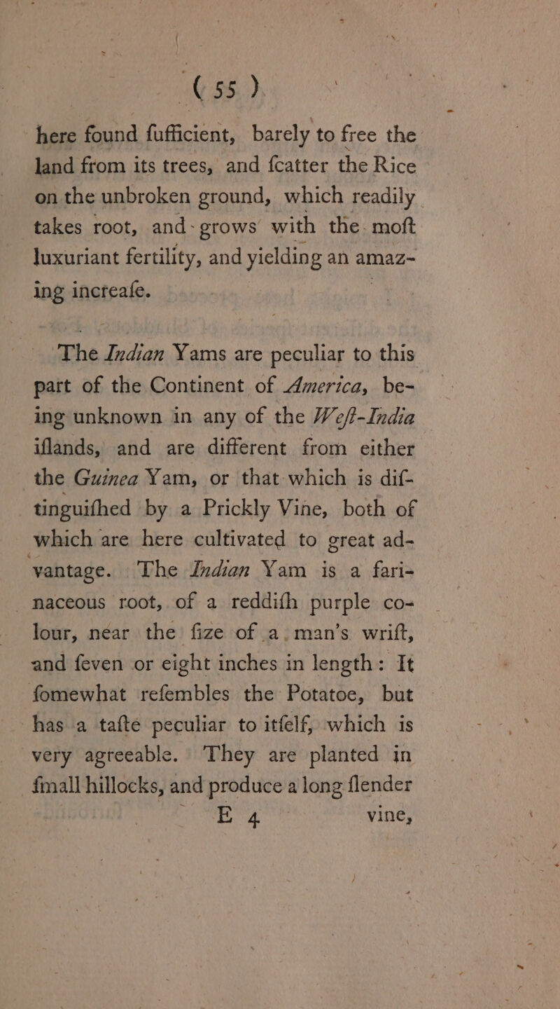 here found fufficient, barely to free the land from its trees, and {catter the Rice on the unbroken ground, which readily. takes root, and- grows with the. moft luxuriant fertility, and yieldin g an amaz~ ing increafe. The Indian Yams are peculiar to this part of the Continent of America, be- ing unknown in any of the We/t-India iflands, and are different from either the Guinea Yam, or that which is dif- tinguifhed by a Prickly Vine, both of which are here cultivated to great ad- ‘vantage. The Indian Yam is a fari- _maceous root, of a reddifh purple co- lour, near the fize of a, man’s wrift, and feven or eight inches in length: It fomewhat refembles the Potatoe, but has a tafte peculiar to itfelf, which is very agreeable. They are planted in fmall hillocks, and produce a long flender od vine,