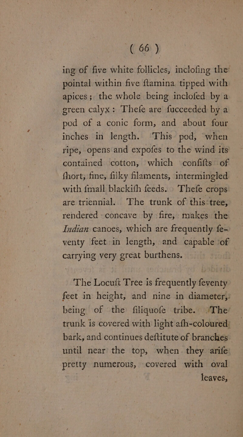 ing of five white follicles, inclofing the’ pointal within five {tamina tipped with apices; the whole being inclofed by a green calyx: ‘Thefe are fucceeded by a pod of a conic form, and about four inches in length. ‘This pod, when ripe, opens and expofes to the wind its contained cotton, which confifts of fhort, fine, filky filaments, intermingled with {mall blackith feeds. Thefe crops are triennial. ‘The trunk of this:tree, rendered concave by fire, makes the Indian canoes, which are frequently fe- venty feet in length, and capable ‘of carrying very great burthens. The Locuit Tree is frequently feventy feet in height, and nine in diameter,: being of the filiquofe tribe. The’ trunk is covered with light afh-coloured: bark, and continues deftitute of branches until near the top, when. they arife: pretty numerous, covered with oval leaves,