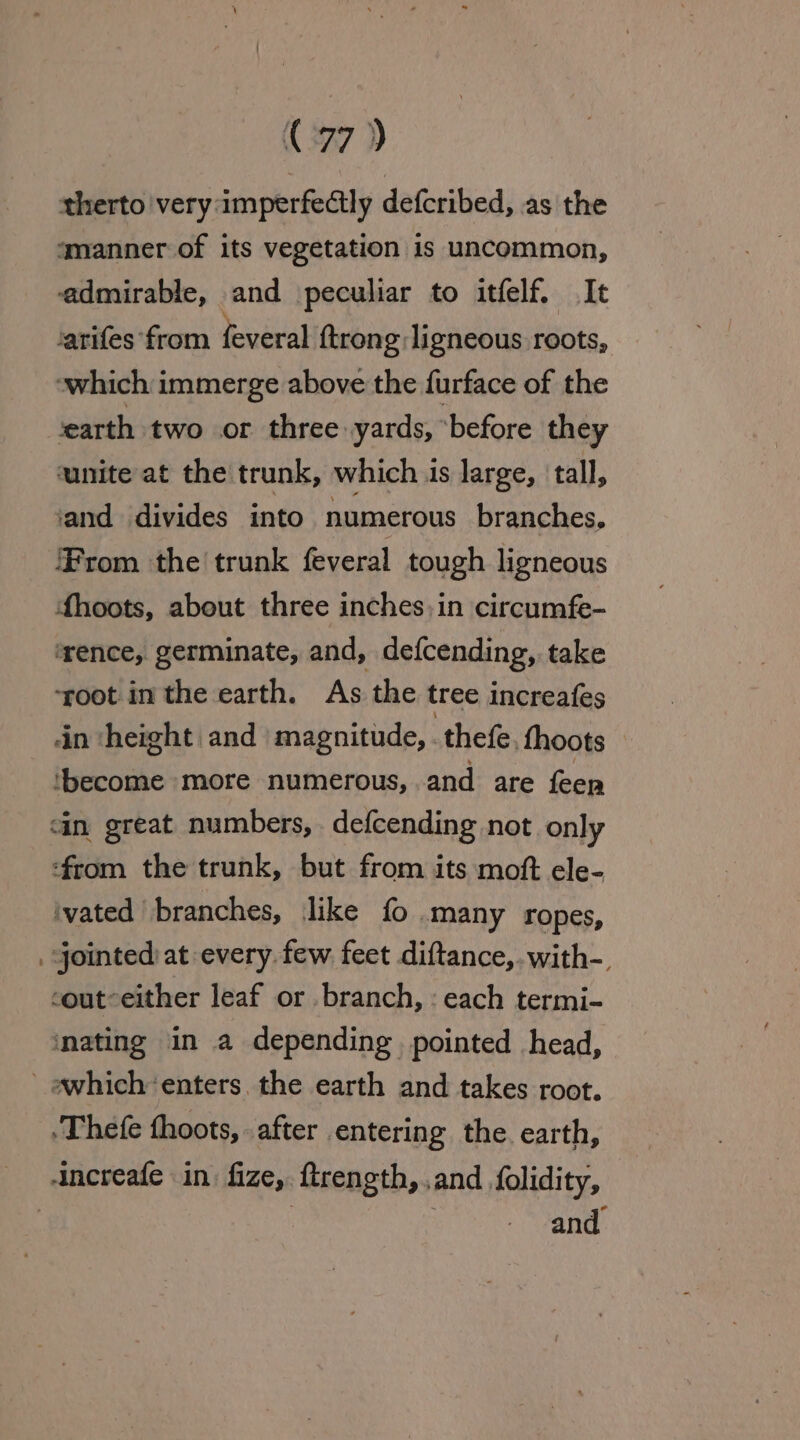 - (277 )) therto very imperfectly deferibed, as the amanner of its vegetation is uncommon, admirable, and peculiar to itfelf. It arifes from feveral {trong ligneous roots, «which immerge above the furface of the ‘earth two or three: yards, ‘before they unite at the trunk, which is large, tall, ‘and divides into numerous branches. From the’ trunk feveral tough ligneous fhoots, about three inches-in circumfe- ‘rence, germinate, and, defcending, take ‘root inthe earth. As the tree increafes in height and | magnitude, . thefe. fhoots ‘become more numerous, and are feen &lt;in great numbers, defcending not only ‘from the trunk, but from its moft ele- ‘vated branches, like fo ‘Many ropes, jointed at every. few feet diftance, with-. cout°either leaf or .branch, : each termi- ‘nating in a depending pointed head, .Thefe thoots, after entering the. earth, -increafe in. fize, firength, and, folidity, and