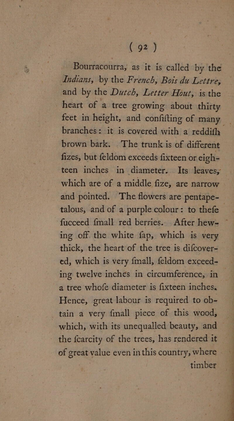 - Bourracourra, as it is called by the Indians, by the French, Bois du Lettre, and by the Dutch, Letter Hout, is the heart of a tree growing about thirty feet in height, and confifting of many | branches: it is covered with a reddifh brown bark. The trunk is of different fizes, but feldom exceeds fixteen or eigh- ‘teen inches in diameter. Its leaves, which are of a middle fize, are narrow and pointed. The flowers are pentape- | talous, and of a purple colour: to thefe fucceed {mall red berries.. After hew- ing off the white fap, which is very thick, the heart of the tree is difcover- ed, which is very {mall, feldom exceed- ing twelve inches in circumference, in a tree whofe diameter is fixteen inches. Hence, great labour is required to ob- tain a very fmall piece of this wood, which, with its unequalled beauty, and — the fcarcity of the trees, has rendered it of great value even inthis country, where © timber