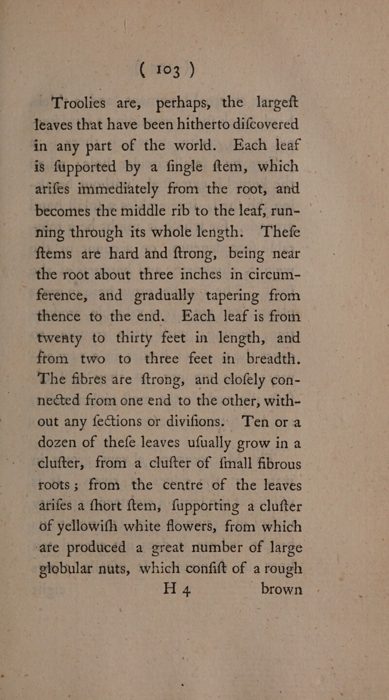 (ho) Troolies are, perhaps, the largeft leaves that have been hitherto difcovered in any part of the world. Each leaf is fupported by a fingle ftem, which _ arifes immediately from the root, and becomes the middle rib to the leaf, run- ning through its whole length. Thefe ftems are hard and ftrong, being near the root about three inches in circum- ference, and gradually tapering from thence to the end. Each leaf is from twenty to thirty feet in length, and from two to three feet in breadth. The fibres are ftrong, and clofely con- nected from one end to the other, with- out any fections or divifions. Ten ora dozen of thefe leaves ufually grow ina clufter, from a clufter of {mall fibrous roots; from the centre of the leaves - arifes a fhort ftem, fupporting a clufter of yellowifh white flowers, from which ate produced a great number of large globular nuts, which confift of a rough H 4 brown