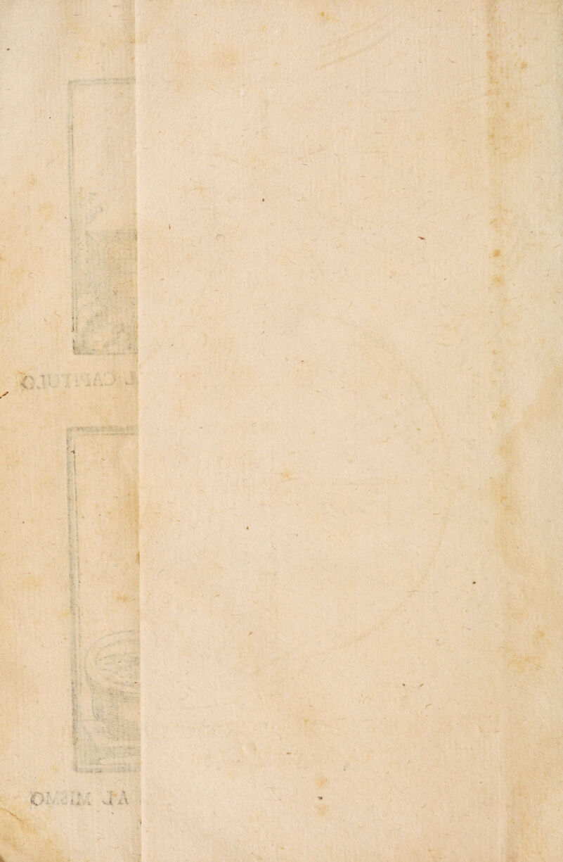 r.-’ r •: •- - w. * X % **' c i¿ i ■ - * • »'/■* - • - ■( O y i % ~ ^ % ■- i . ¿ . . .• p ' f r - í.x-i i ;• \ v i k. % •9 r* ■ \ > <r : * r . z'*