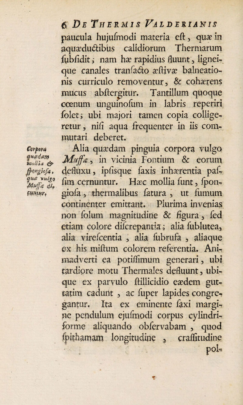 €mfw& f findam hic/liia $ De Thermis Valderianis paucula hujufmodi materia eft , quae in aquaedu&ibus calidiorum Thermarum fubfidit i nam ha? rapidius fluunt , lignei- que canales tranfa&o aeftivae balneario- liis curriculo removentur, & cohaerens mucus abftergitur. Tantillum quoque ocenum unguinofum in labris reperiri foleti ubi majori tamen copia collige¬ retur, nili aqua frequenter in iis com¬ mutari deberet. Alia quaedam pinguia corpora vulgo 5 in vicinia Fontium & eorum defluxu, ipfisque faxis inhaerentia paf- fim cernuntur. Haec mollia funt, fpon- mmm giofa, thermalibus fatura , ut fumum continenter emittant. Plurima invenias non folum magnitudine & figura, fed etiam colore difcrepantia* alia fublutea, alia virefcentia , alia fubrufa , aliaque ex his miftum colorem referentia. Ani¬ madverti ea potiflimum generari , ubi tardiore motu Thermales defluunt, ubi¬ que ex parvulo ftillicidio eaedem gut- tatim cadmit , ac fuper lapides congre-? gantur. Ita ex eminente faxi margi¬ ne pendulum ejufmodi corpus cylindri- forme aliquando obfervabam , quod marn longitudine ^ craffitudine ? ' . ^ foU