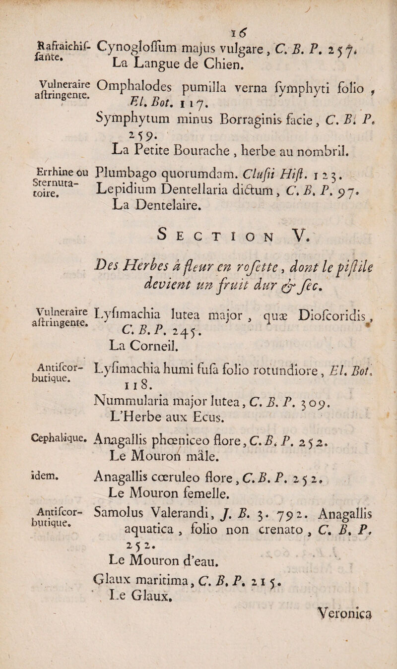 J îtafraichif- fante. Vulnéraire aftringenre. Errhine où Srernuta- toire. Vulnéraire aftringente. Antifcor butique. Céphalique, idem. Antifcor- butique. ï 6 Cynogloffum majus vulgare, C. P. P. 25 J4 La Langue de Chien. Omphalodes pumilla verna fvmphyti folio , EL Bot. 117. Symphytum minus Borraginis facie, C. Pi P* 259. La Petite Bourache , herbe au nombril. Plumbago quorumdam. Clufit Hift. 123. Lepidium Dentellaria didum, C B. P. 97, La Dente!aire. Section V, Des Herbes à fleur en rejette, dont le fiiflile devient un fruit dur & Jec. Lyfimachia lutea major , quæ Diofcoridis, CP.P. 245. La Corneil. Lyfimachia humi fufa folio rotundiore , EL BoU 11 8. Nummuîaria major lutea, C. B. P. 309. L’Herbe aux Ecris. Anagallis phœniceo flore 5 C. P, P. 252. Le Mouron mâle. Anagallis cœruleo flore, C. P. P. 252, Le Mouron femelle. Samolus Valerandi, J. B. 3* 792. Anagallis aquatica , folio non crenato , C. P, P, 252. Le Mouron d’eau. Glaux maritima, C. P, P. 215, , Le Glaux, Veronka