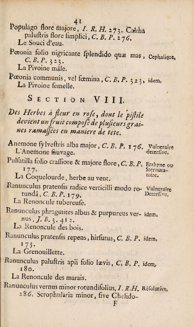 SPopulago flore majore4'/. R. B. 273. Crrftha paluftris flore limplici, C. B. P. ijC, Le Souci d’eau. Pœ°n‘a Bfolp° n,Sncailte iplendido quæ mas, Céphalique. C» n, I . 3^3* La Pivoine mâle. Lœonia communis, ve! fifcmina ,t.B>P. 5 * K idem. JLa Pivoine femelle. > ' Section VIII. Des Herbes à fleur en ro/e, dont le ’piflile devient un fruit compoje de plufleurs grati¬ nes ramaffées en maniéré de te te. Anemone fylveftris alba major, C. B. P. i?g. Vulnéraire L Anemone feuvage. deterflve. fulfatiUa folio craffiore & majore flore, C. B. P. Errhyne ou _ *77 b Sternuta» La Coquelourde, herbe au vent* £0*fe* Ranunculus pratenfis radice verticilli modo ro- Vulnéraire tundâ, C. B, P, Deterfîve» La Renoncule tubereufe» Ranunculus phragmites albus & purpureüs ver» idem* nus,/. B. 3. 41 2. La Renoncule des bois. Ranunculus pratenfis repens, hirfutus, G B, P. idem, 17 5 • La Grenouillette* Ranunculus paluftris apli folio lævis, G B. F idem 180. La Renoncule des marais. Ranunculus vernus minor rotundifolius, I. F.h\ Réfdw.tive* 2 8 G Scrophularia minor, fiye Chelido- F